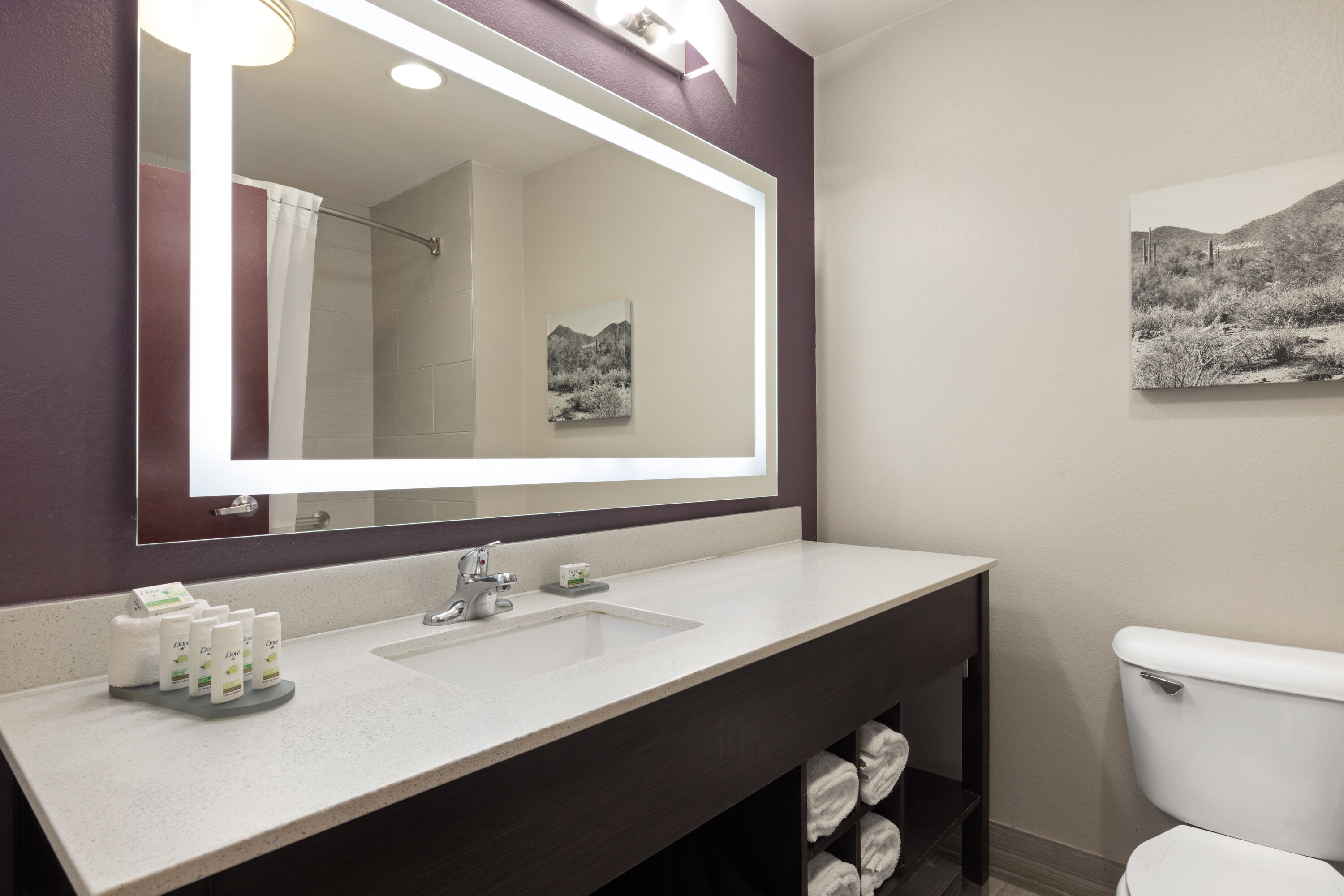 Guest room bath at the La Quinta Inn & Suites by Wyndham Williams-Grand Canyon Area in Williams, Arizona