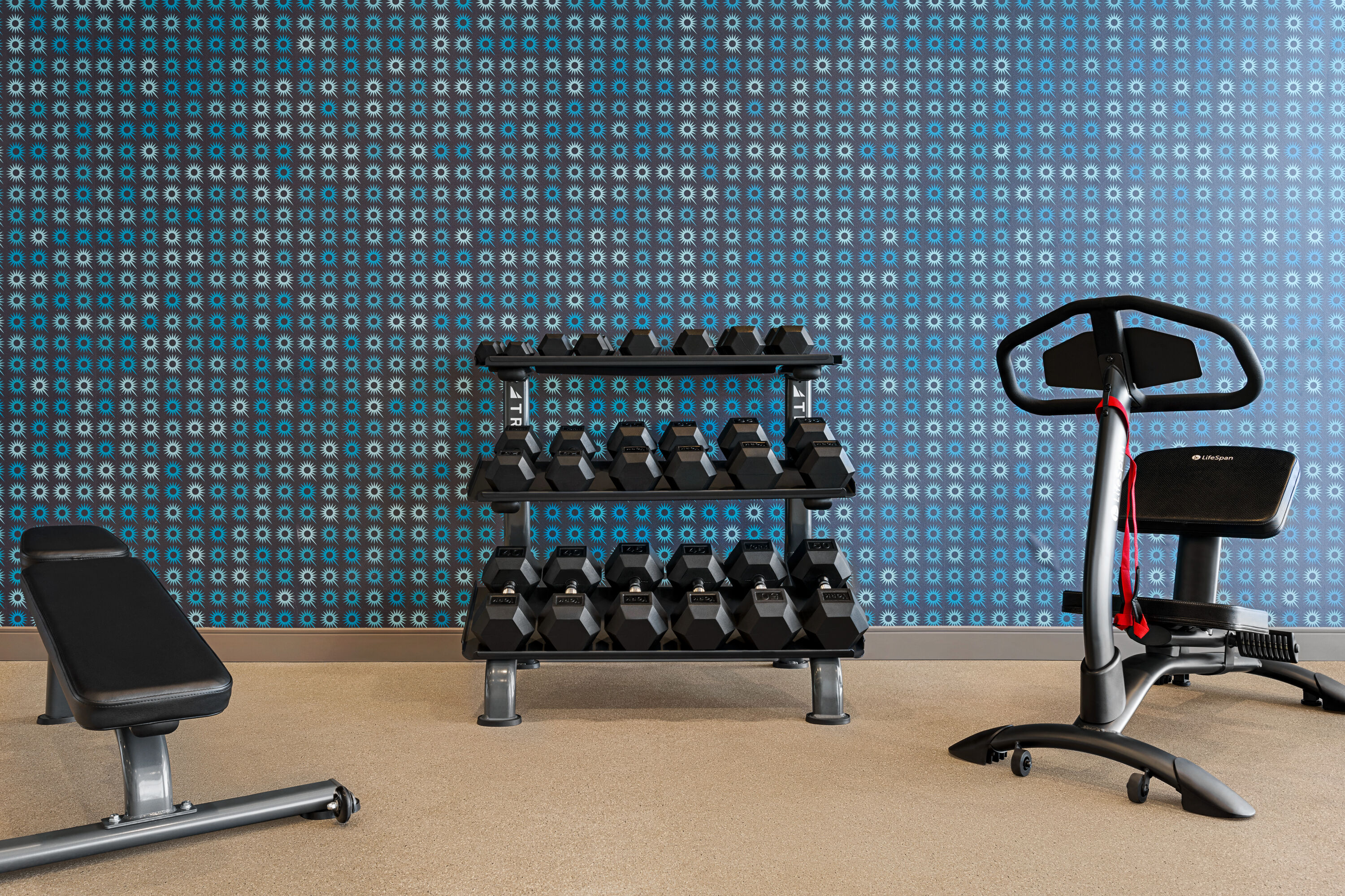Fitness room at La Quinta Inn & Suites by Wyndham Denver Parker in Parker, Colorado