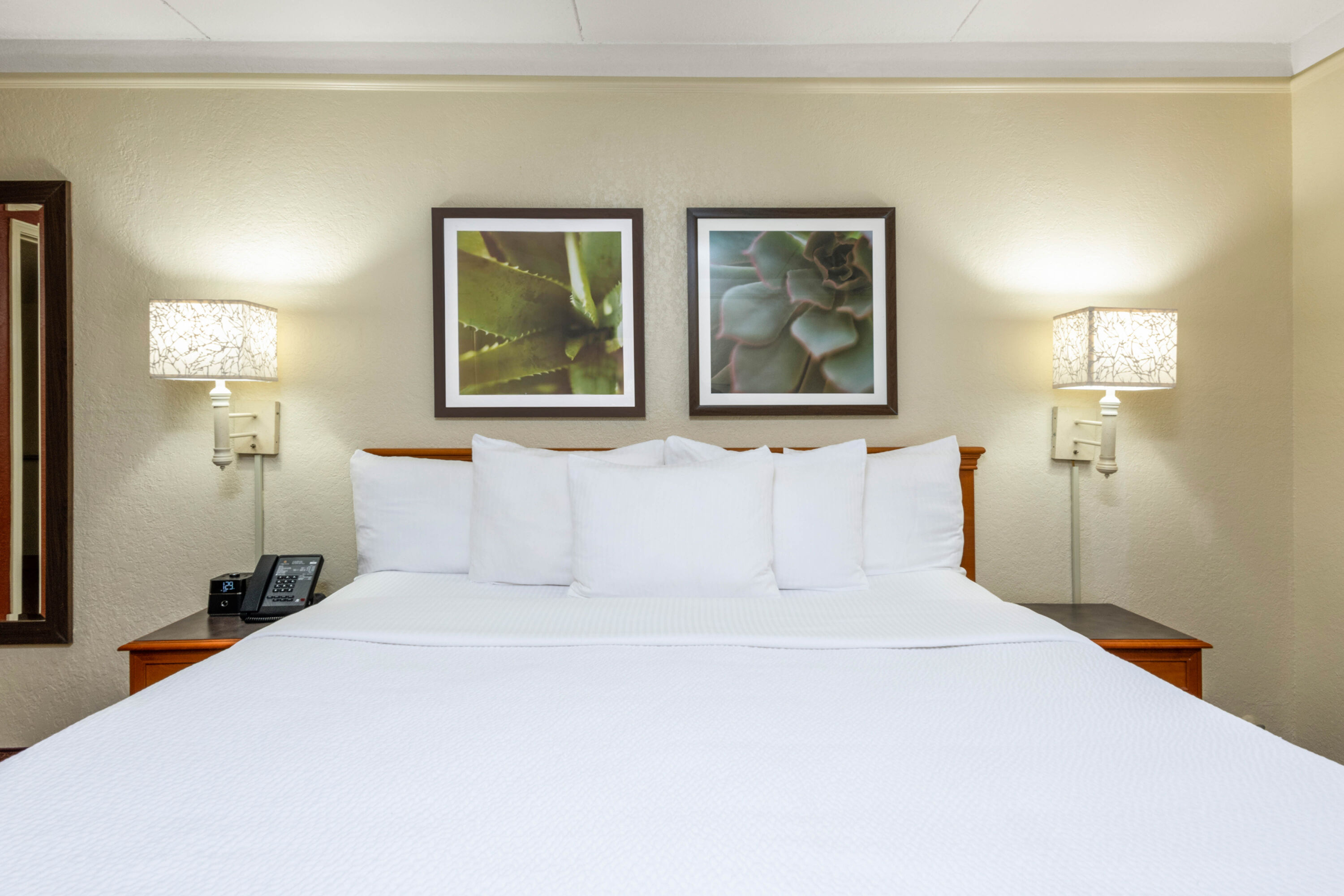 Guest room at the La Quinta East Deerfield Beach - Boca Raton in Deerfield Beach, Florida