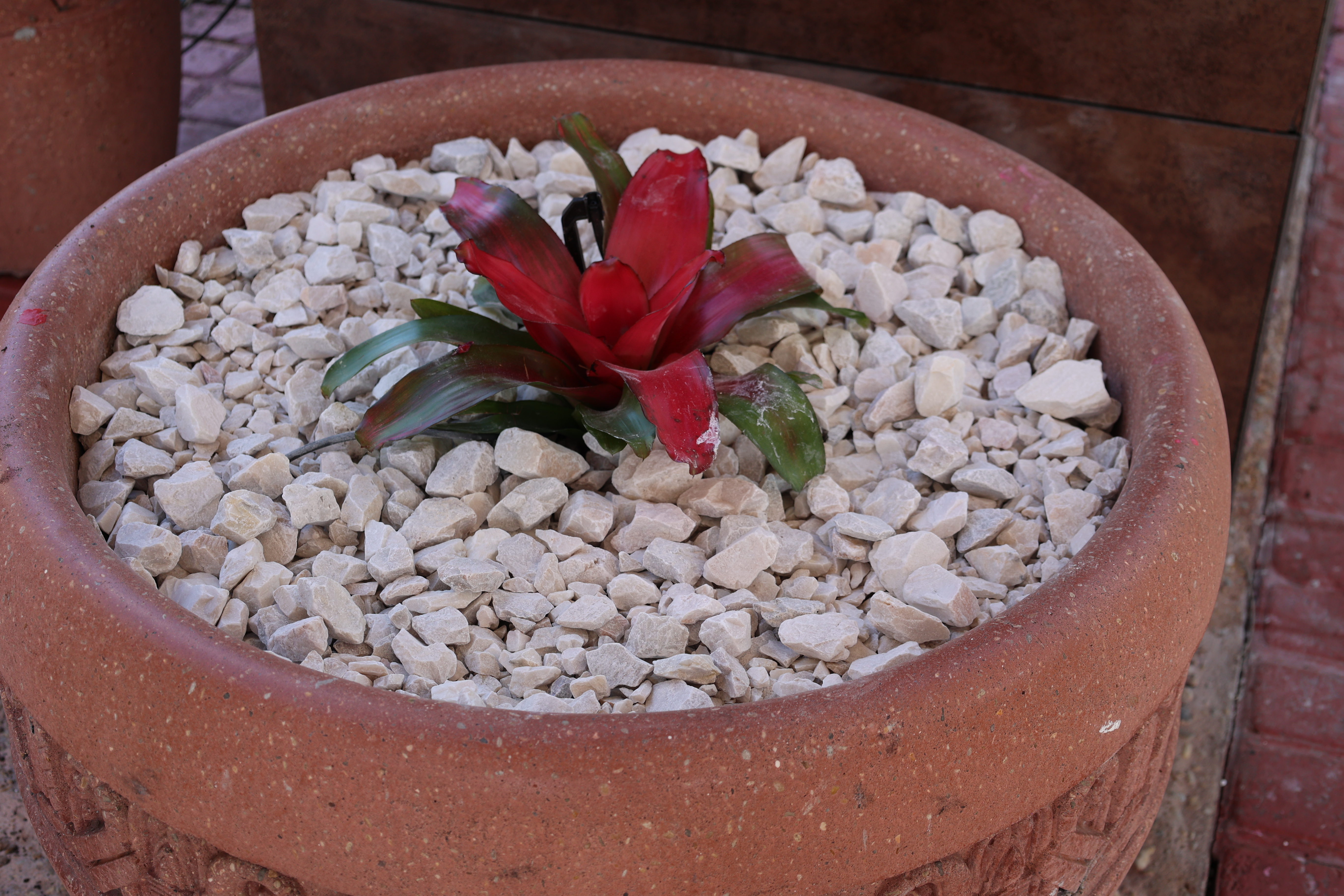 Exterior of La Quinta Inn & Suites by Wyndham Ocala hotel in Ocala, Florida