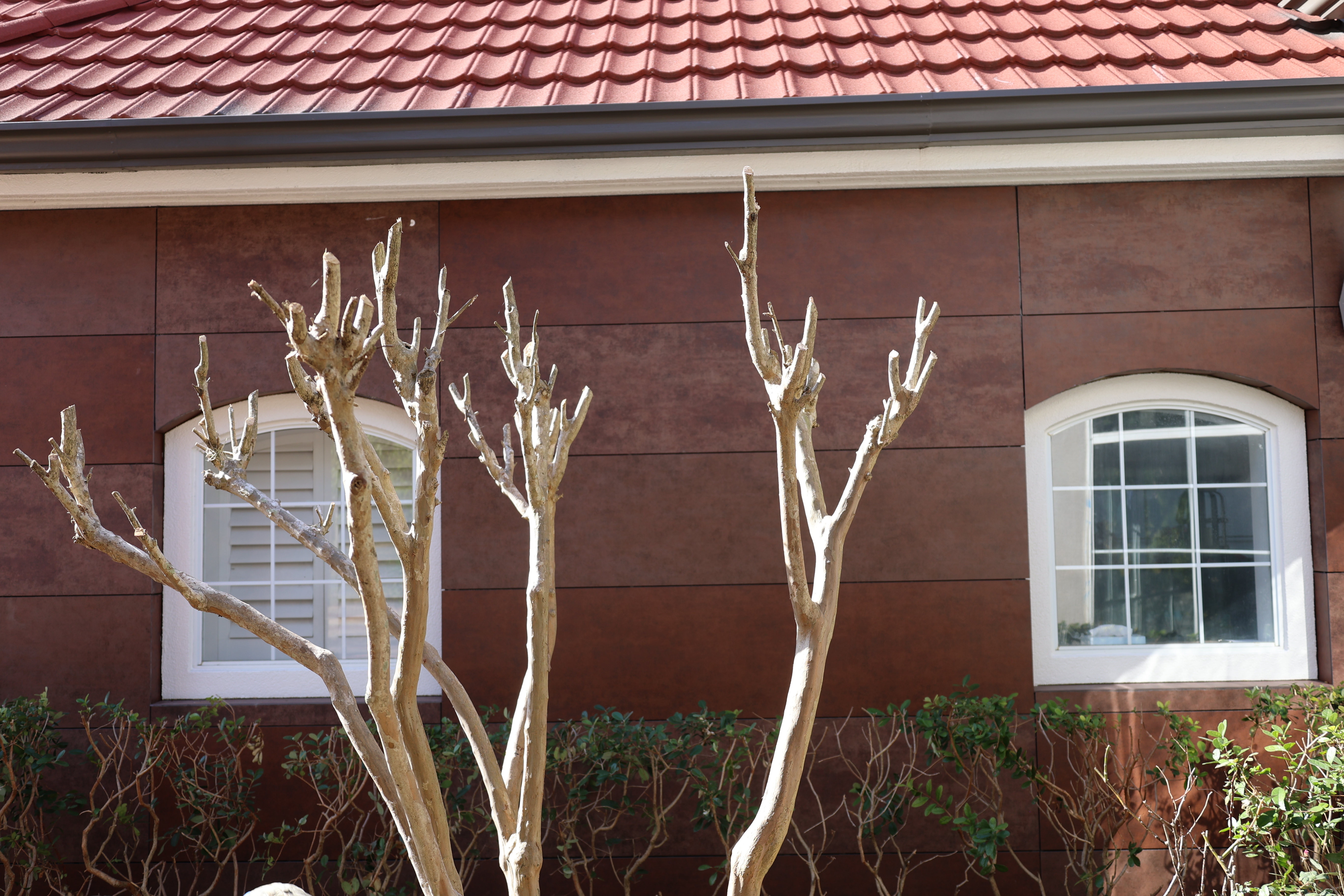 Exterior of La Quinta Inn & Suites by Wyndham Ocala hotel in Ocala, Florida