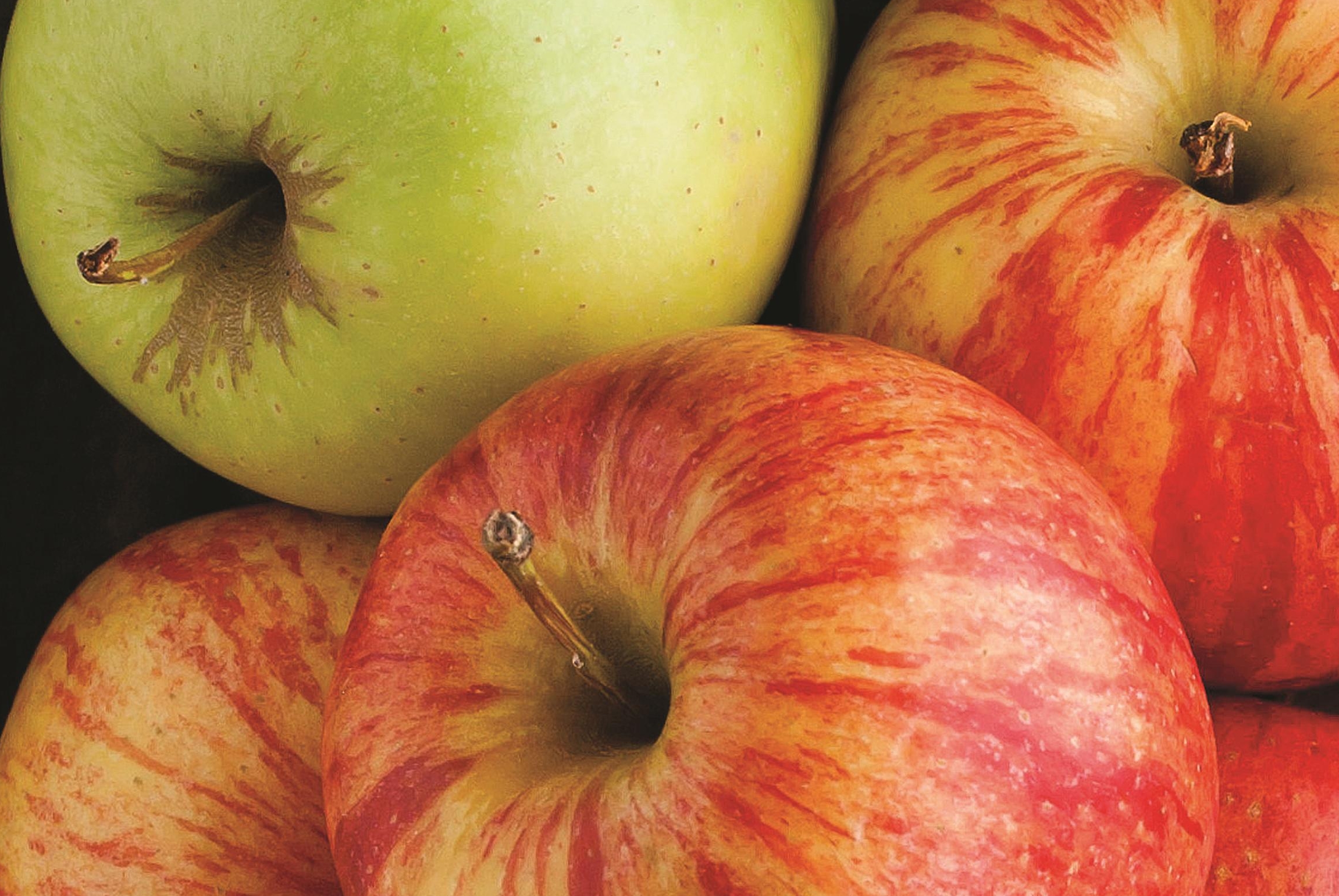 Property amenity at La Quinta Inn & Suites by Wyndham Atlanta Perimeter Medical in Atlanta, Georgia