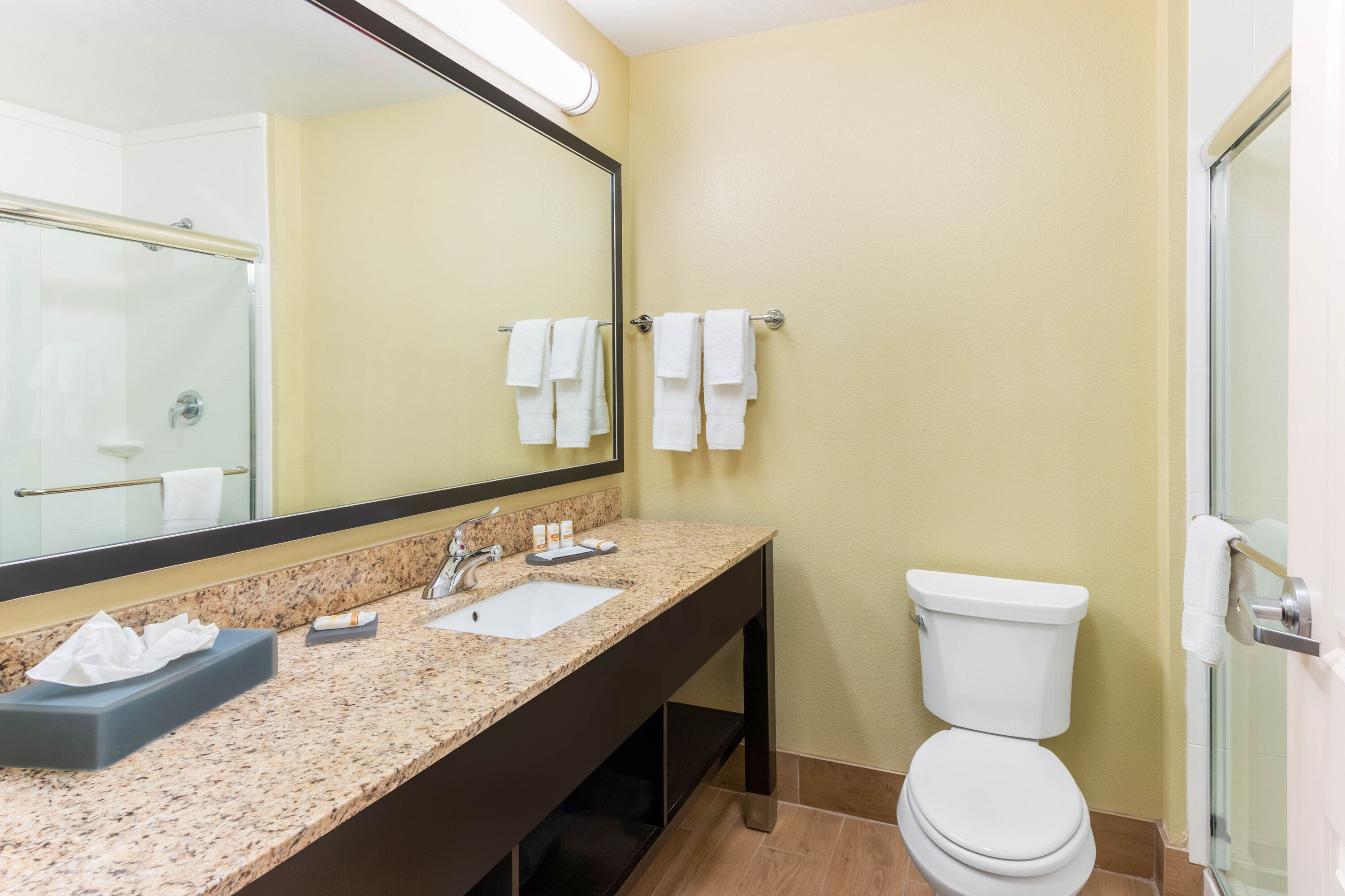 Guest room bath at the La Quinta Inn & Suites by Wyndham Carlsbad in Carlsbad, New Mexico