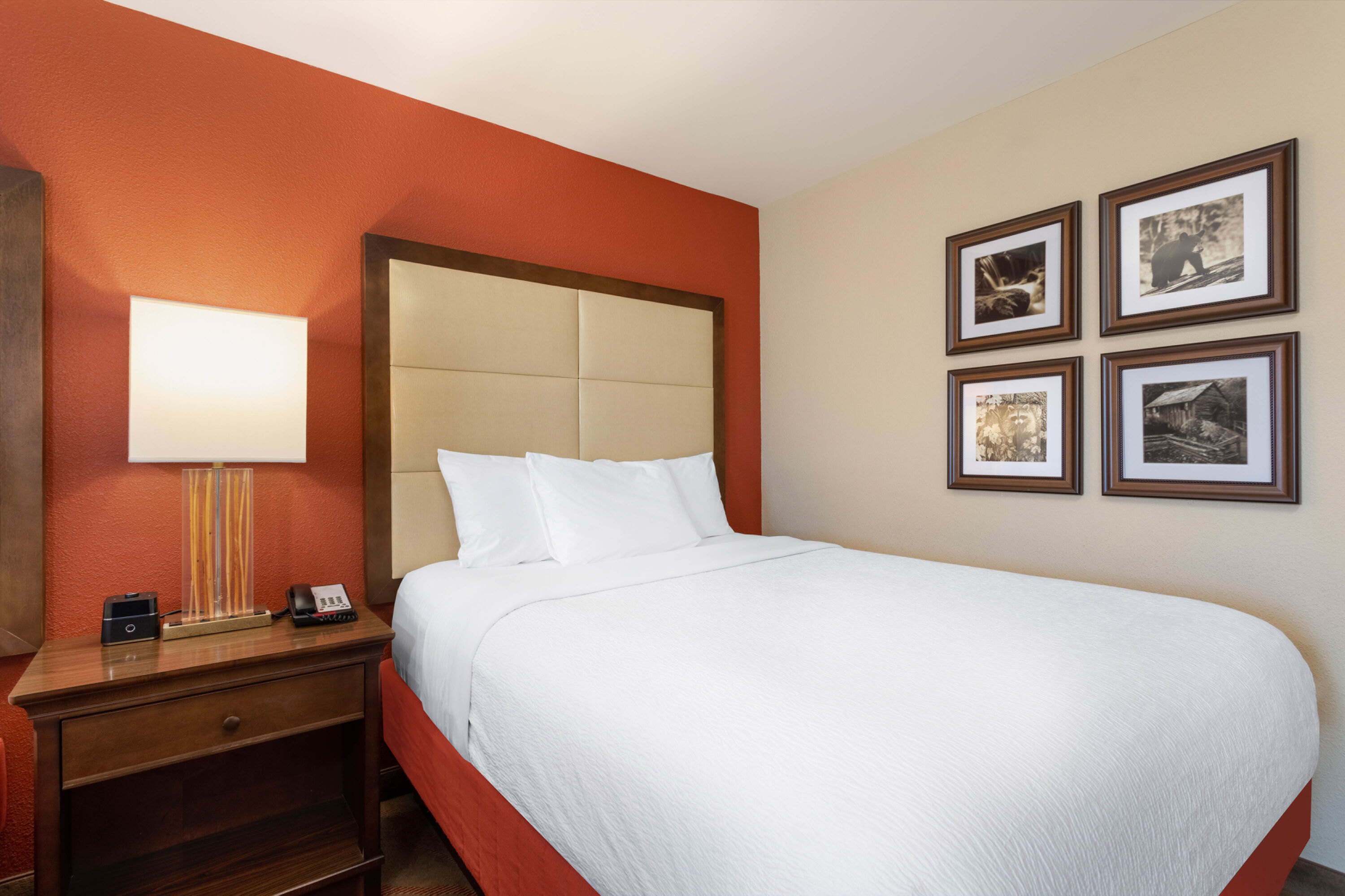 Guest room at the La Quinta Inn & Suites by Wyndham Pigeon Forge in Pigeon Forge, Tennessee