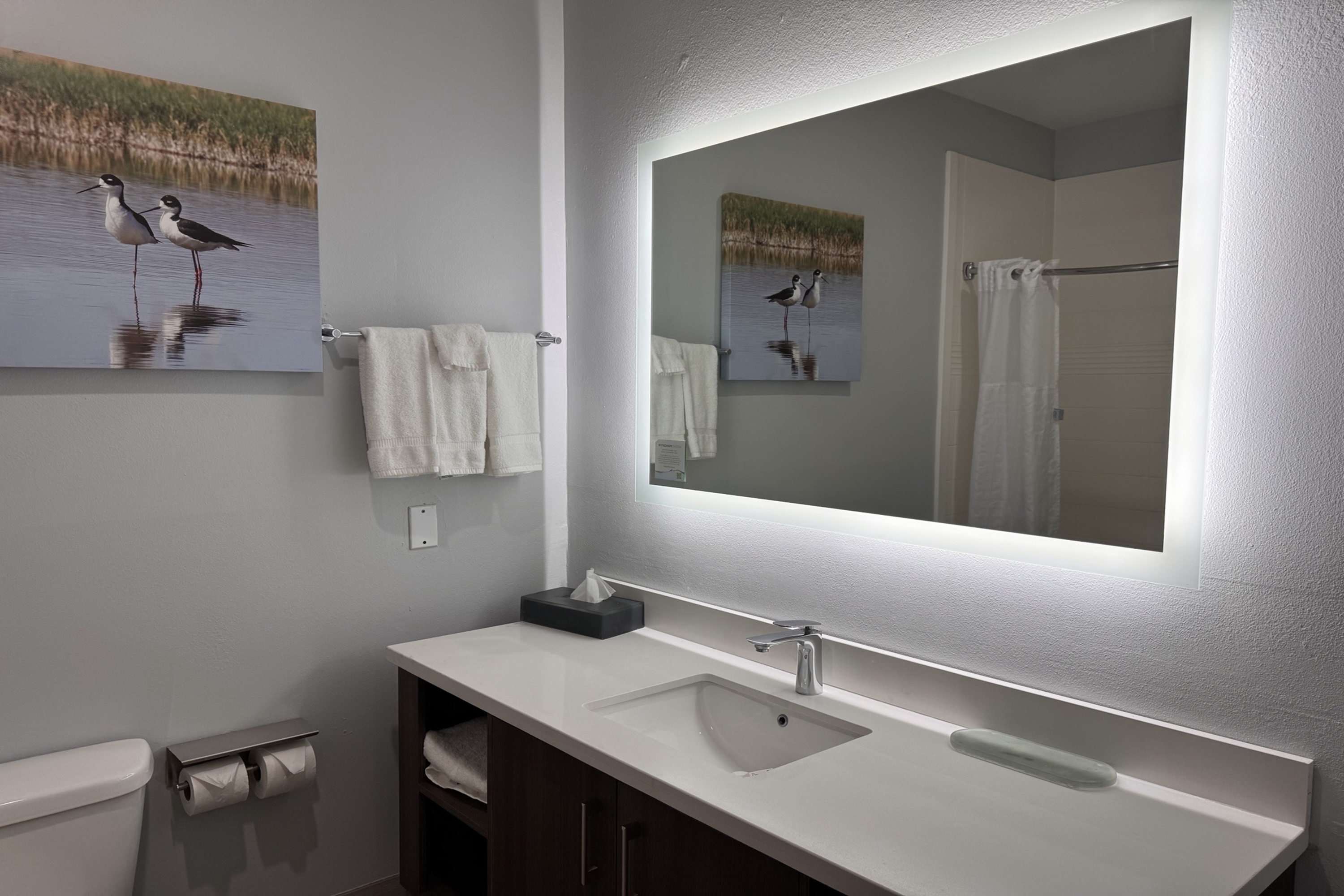 Guest room bath at the La Quinta Inn & Suites by Wyndham Alamo - McAllen East in Alamo, Texas