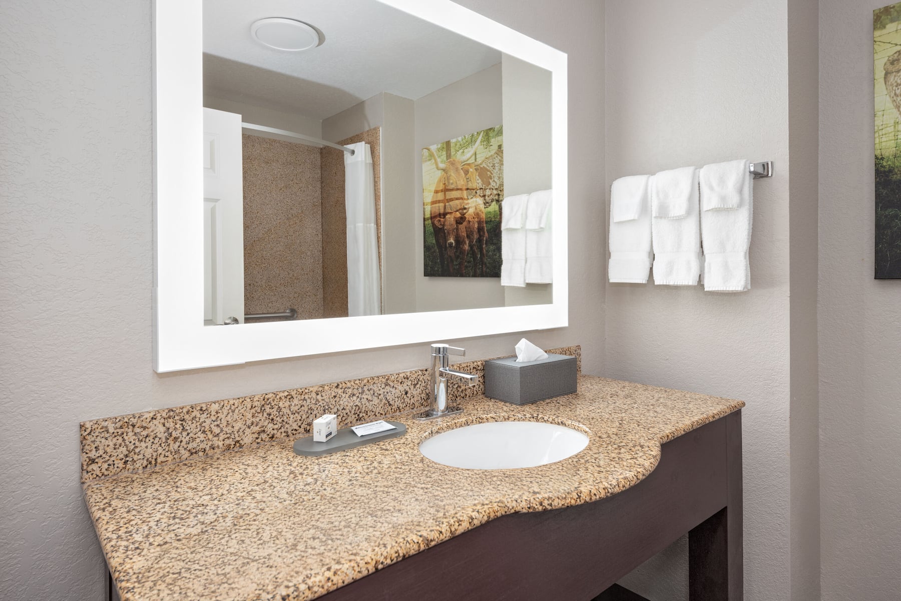 Guest room bath at the La Quinta Inn & Suites by Wyndham Alvarado in Alvarado, Texas