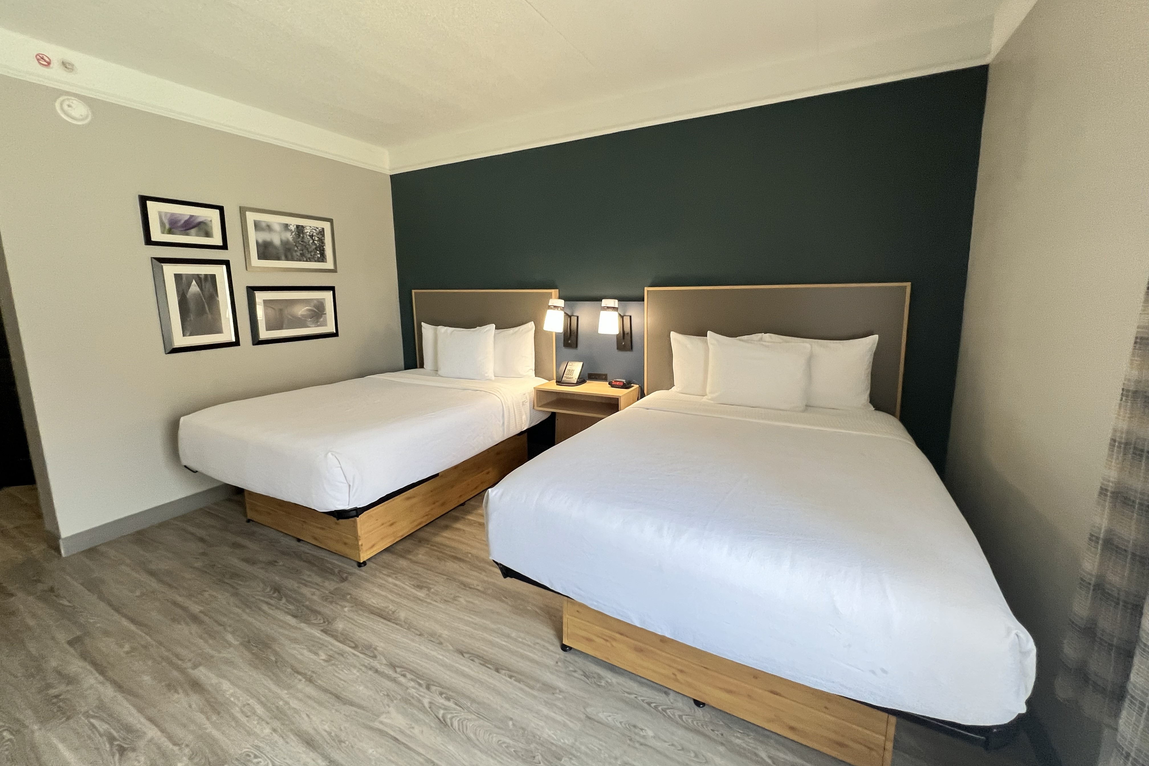 Guest room at the La Quinta Inn & Suites by Wyndham Dallas Arlington South in Arlington, Texas