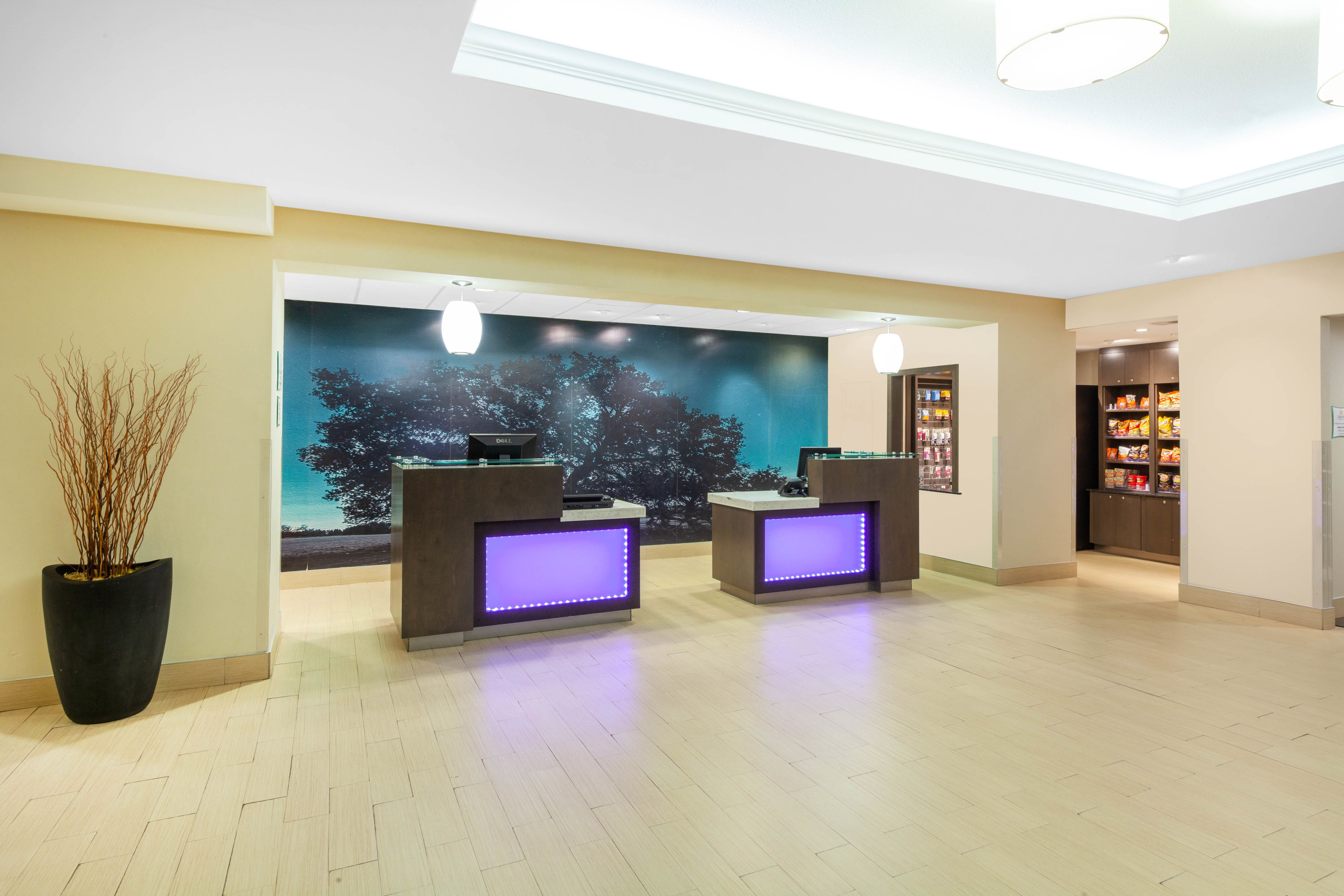 La Quinta Inn & Suites by Wyndham Midland North reception in Midland, Texas
