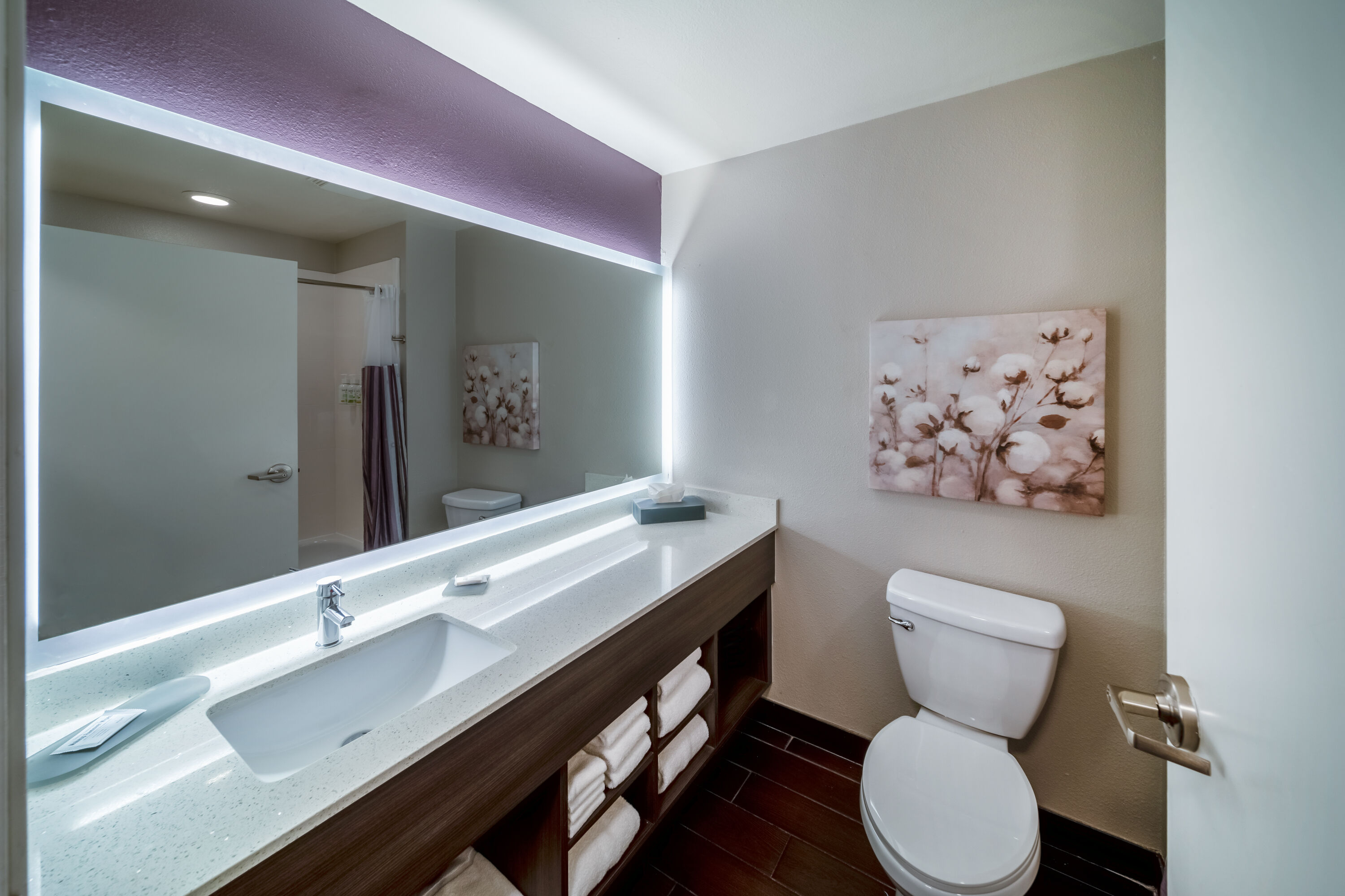 Guest room bath at the La Quinta Inn & Suites by Wyndham Rockwall in Rockwall, Texas