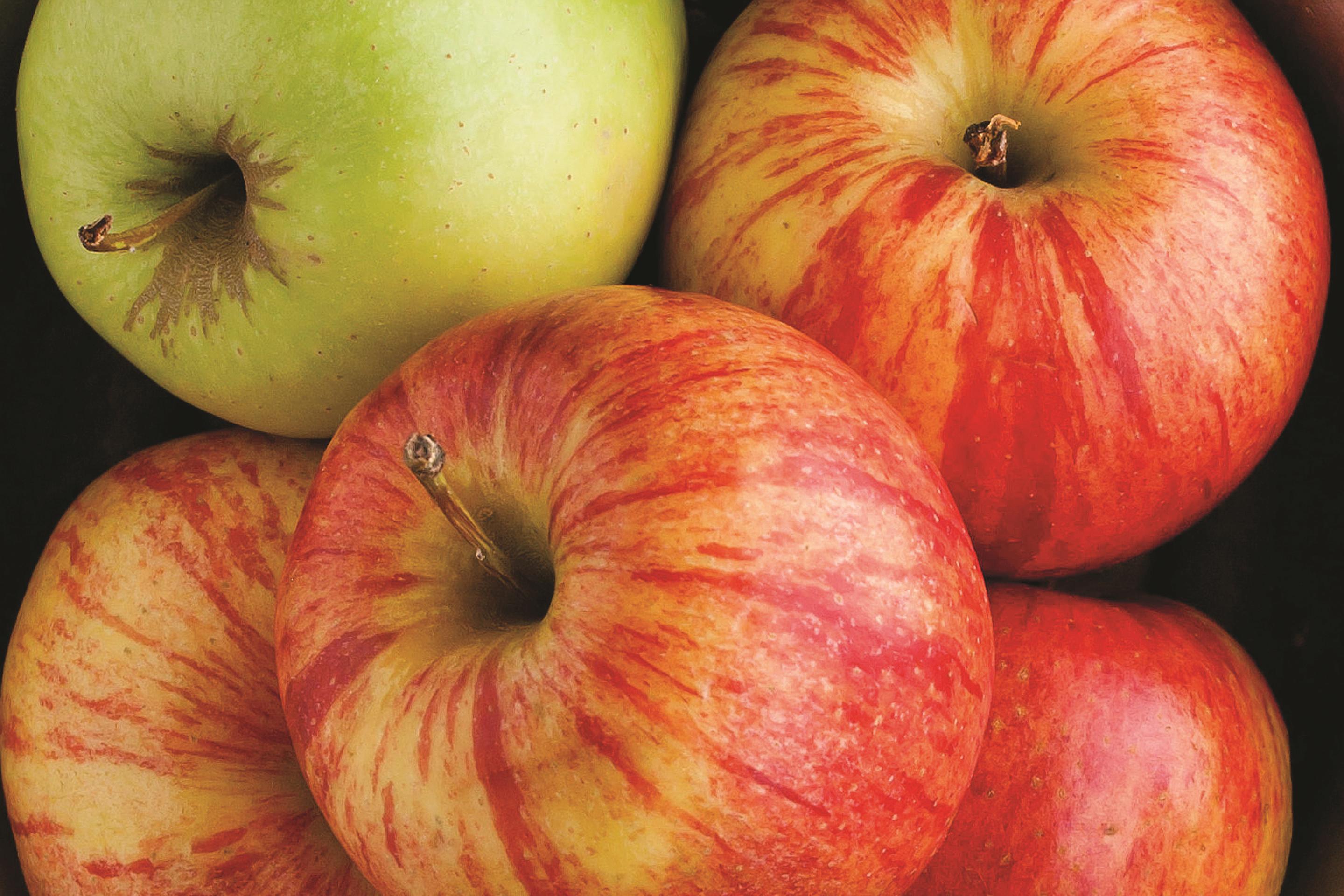 Property amenity at La Quinta Inn by Wyndham Richmond South in Richmond, Virginia