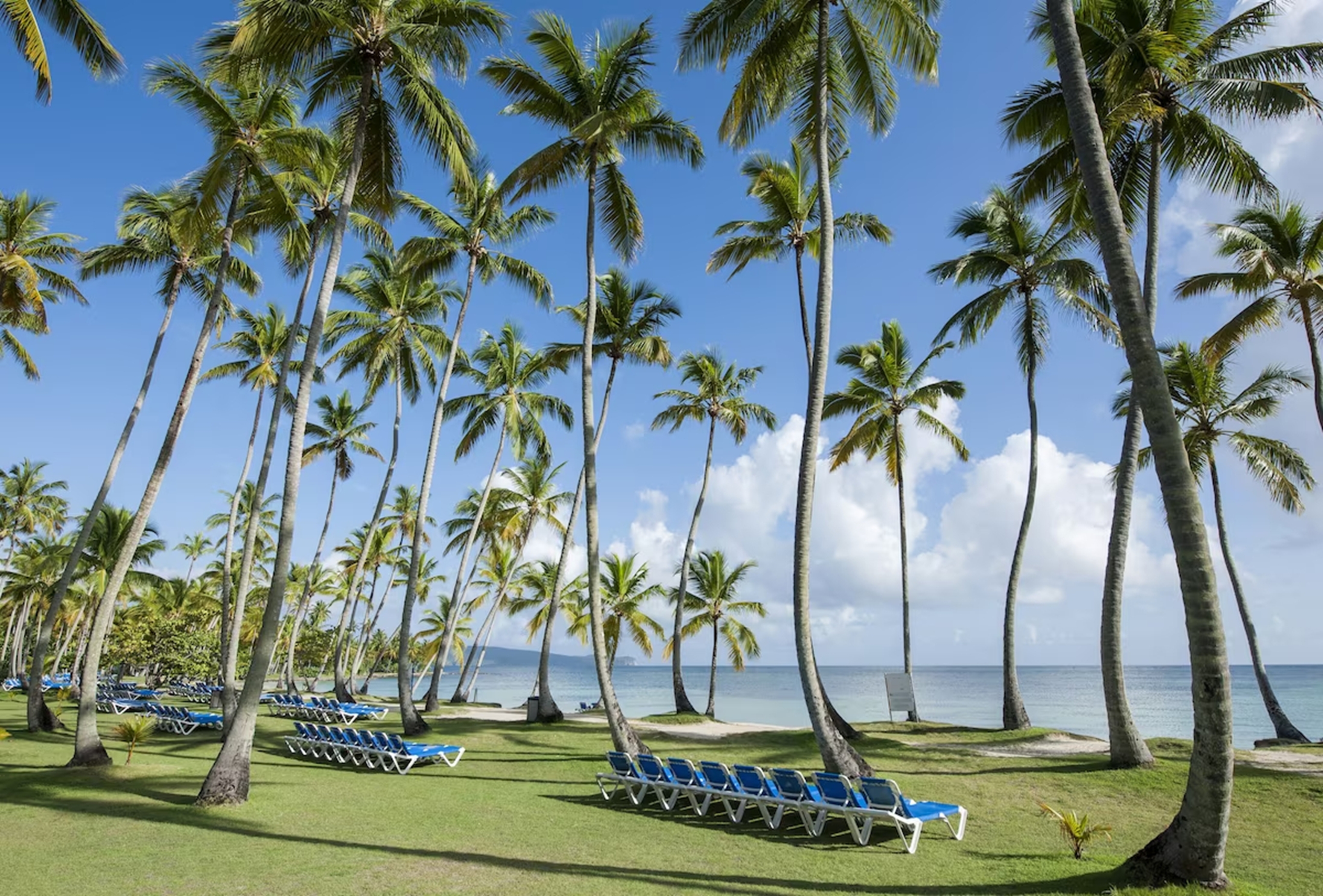 Beach near Wyndham Alltra Samana All Inclusive Resort in Las Galeras, Other than US/Canada