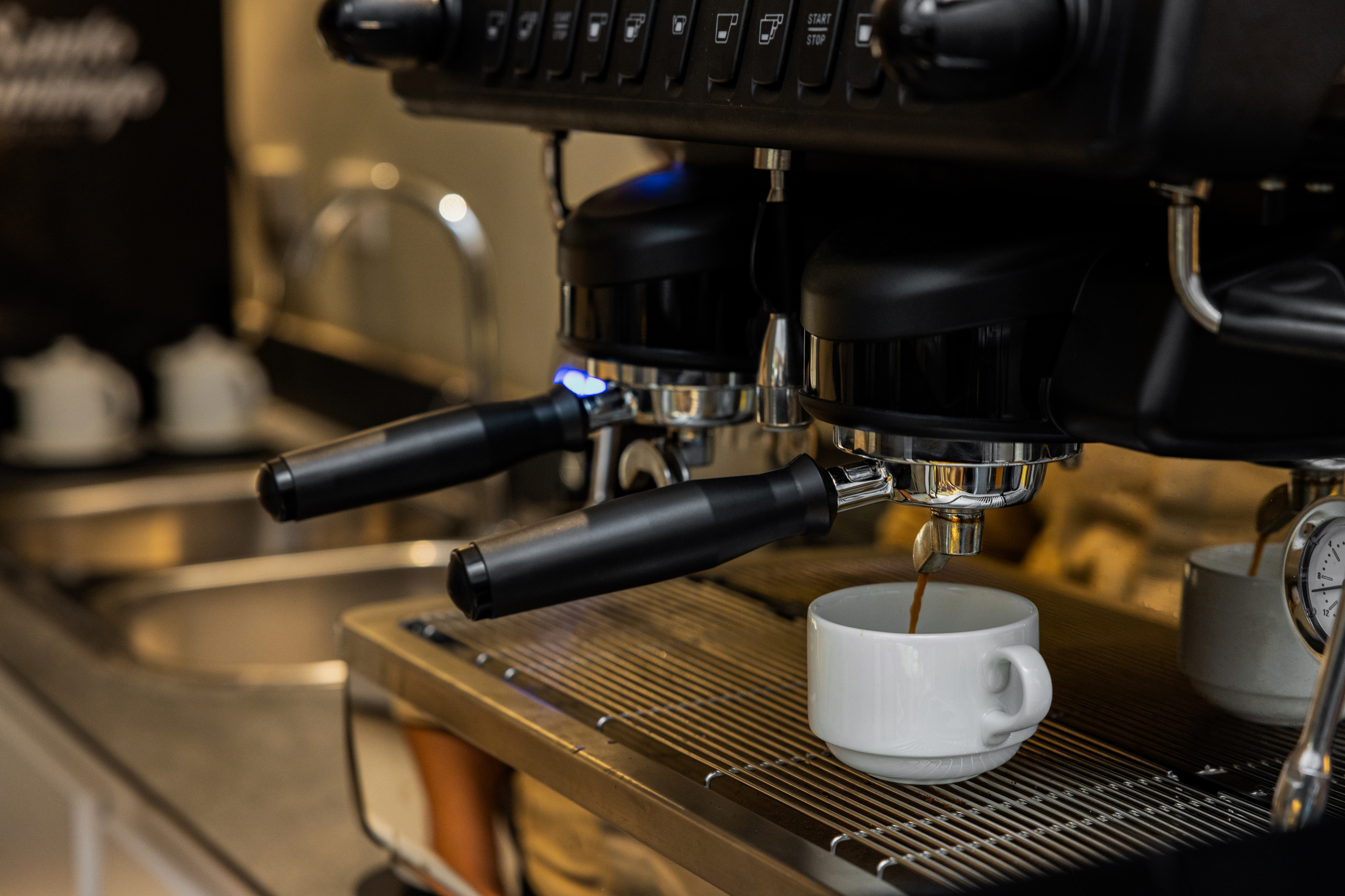 Wyndham Alltra Punta Cana All Inclusive Resort restaurant in Punta Cana, Other than US/Canada