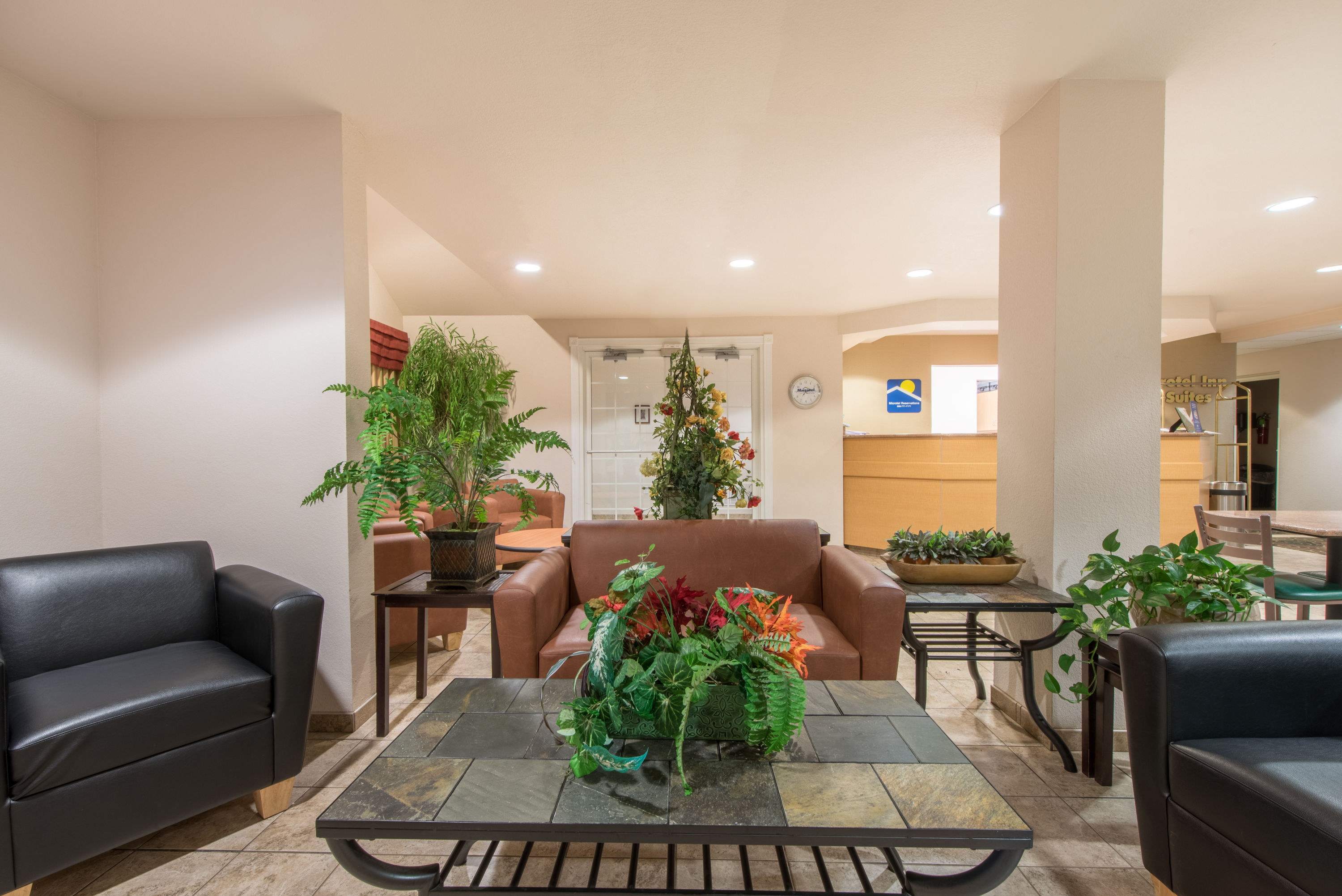 Microtel Inn Amp Suites By Wyndham Altus Altus Ok Hotels