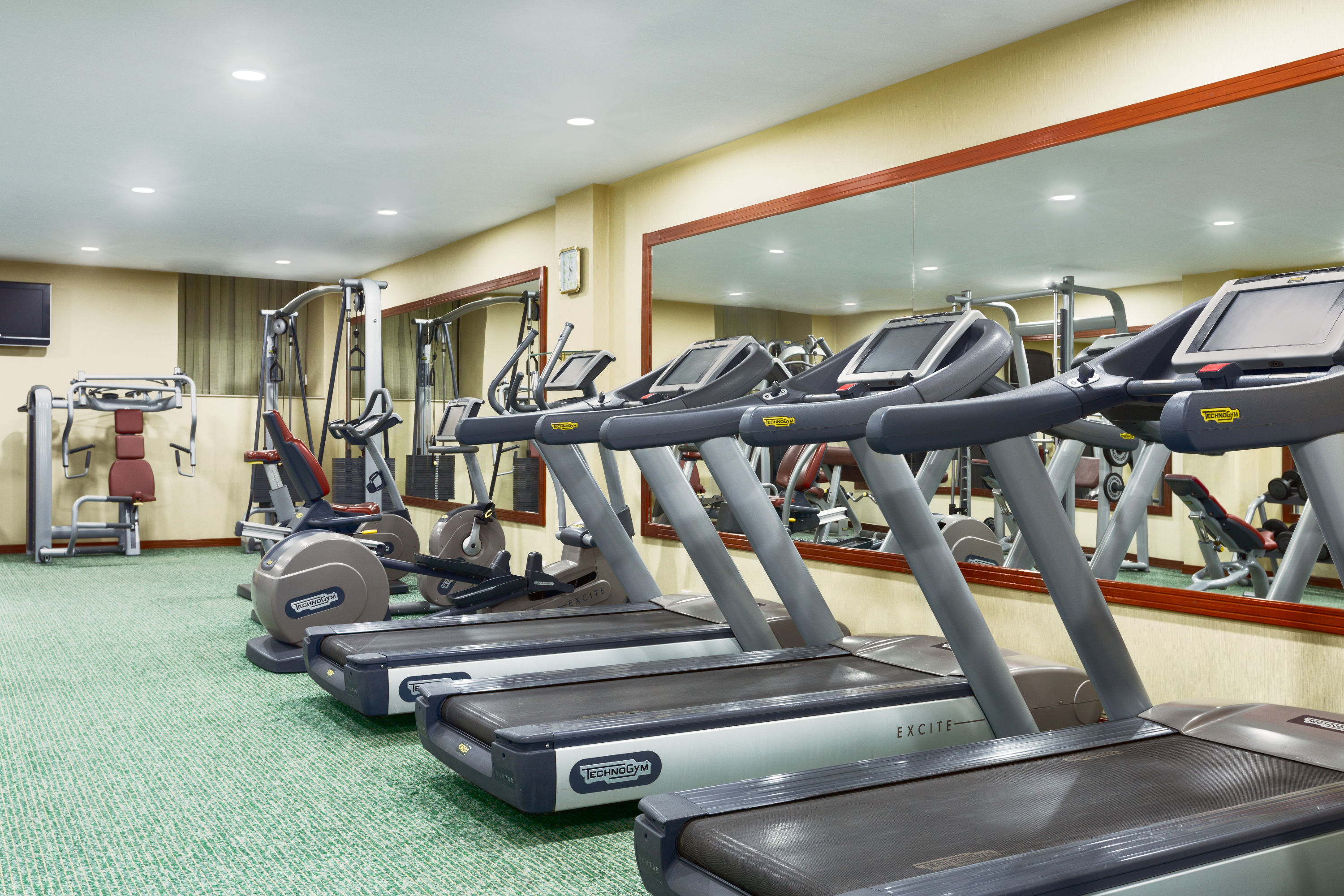 Fitness room at Ramada Plaza by Wyndham Gence in Gence, Other than US/Canada