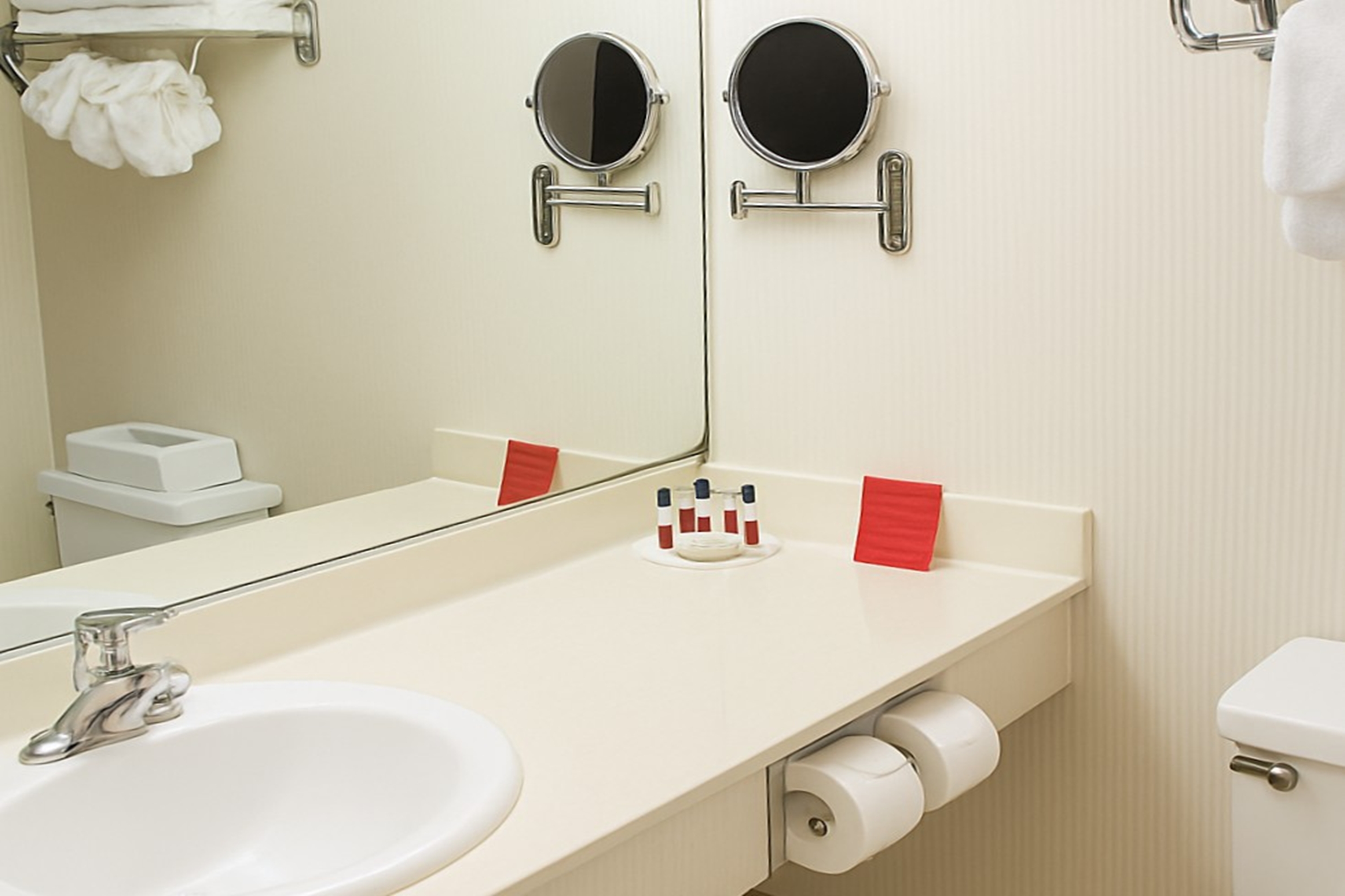 Guest room bath at the Ramada Plaza by Wyndham Regina Downtown in Regina, Saskatchewan