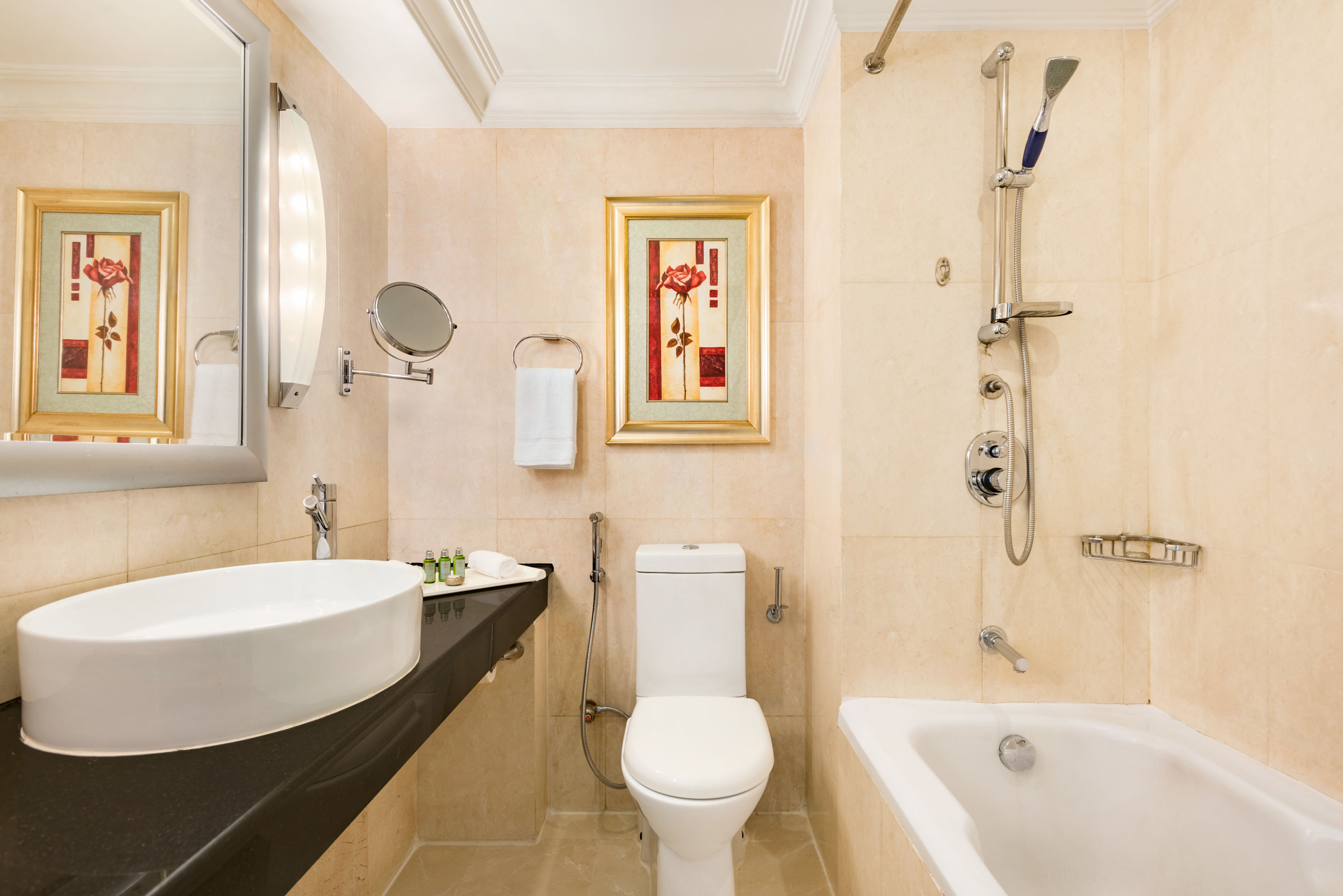 Guest room bath at the Ramada Plaza by Wyndham Karachi Airport Hotel in Karachi, Other than US/Canada