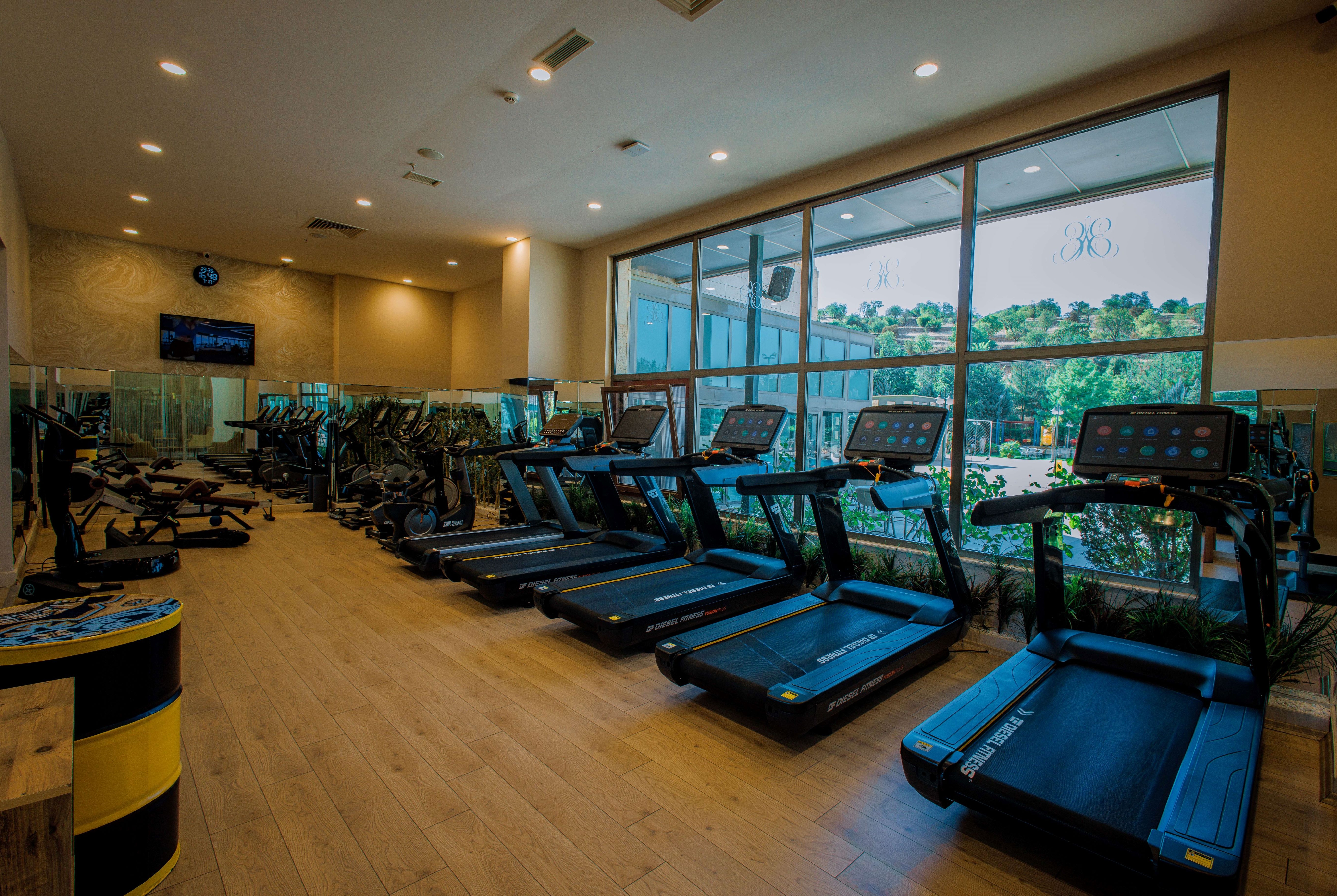 Fitness room at Ramada Plaza by Wyndham Mardin in Mardin, Other than US/Canada