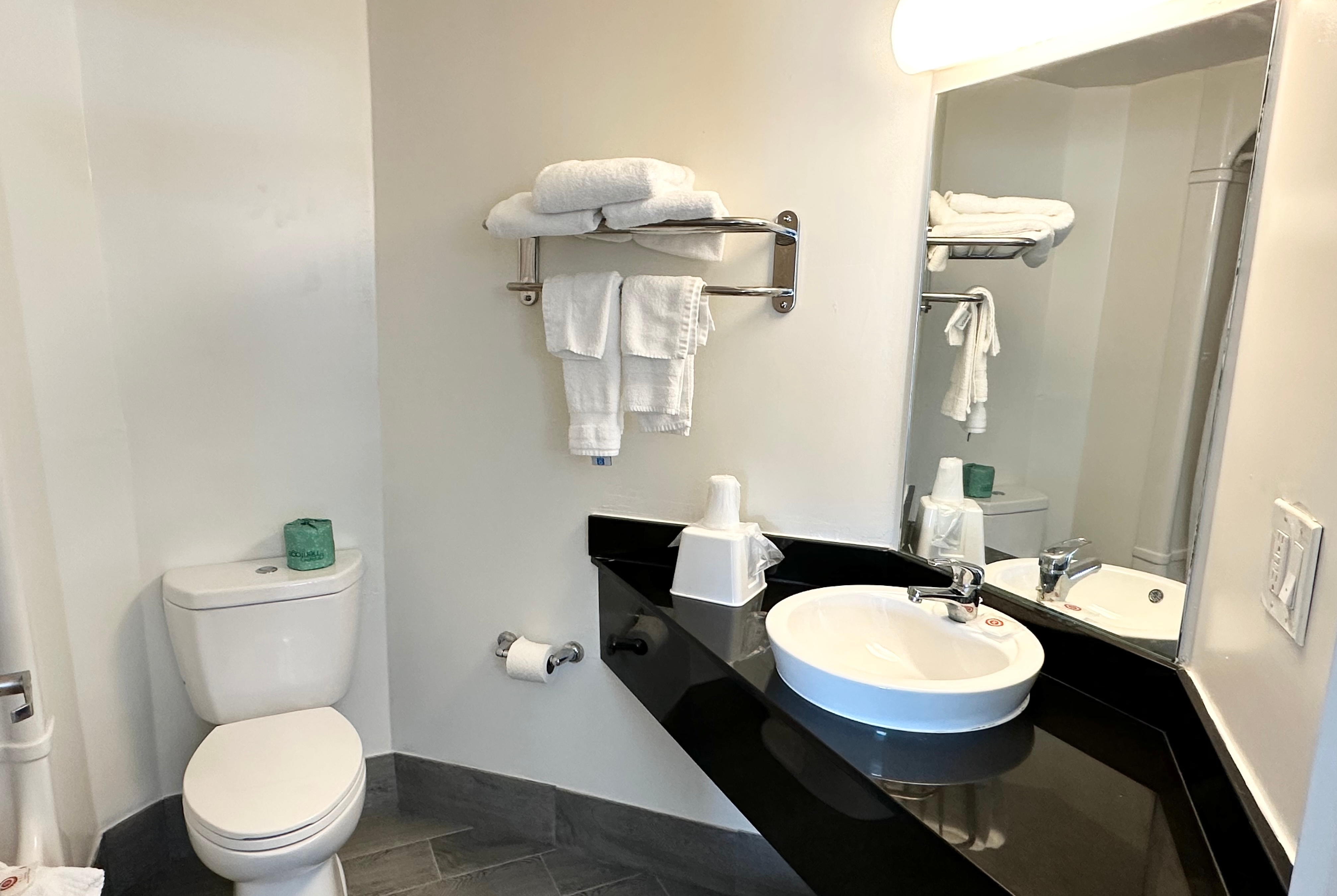 Guest room bath at the Ramada by Wyndham Lithia Springs Atlanta in Lithia Springs, Georgia