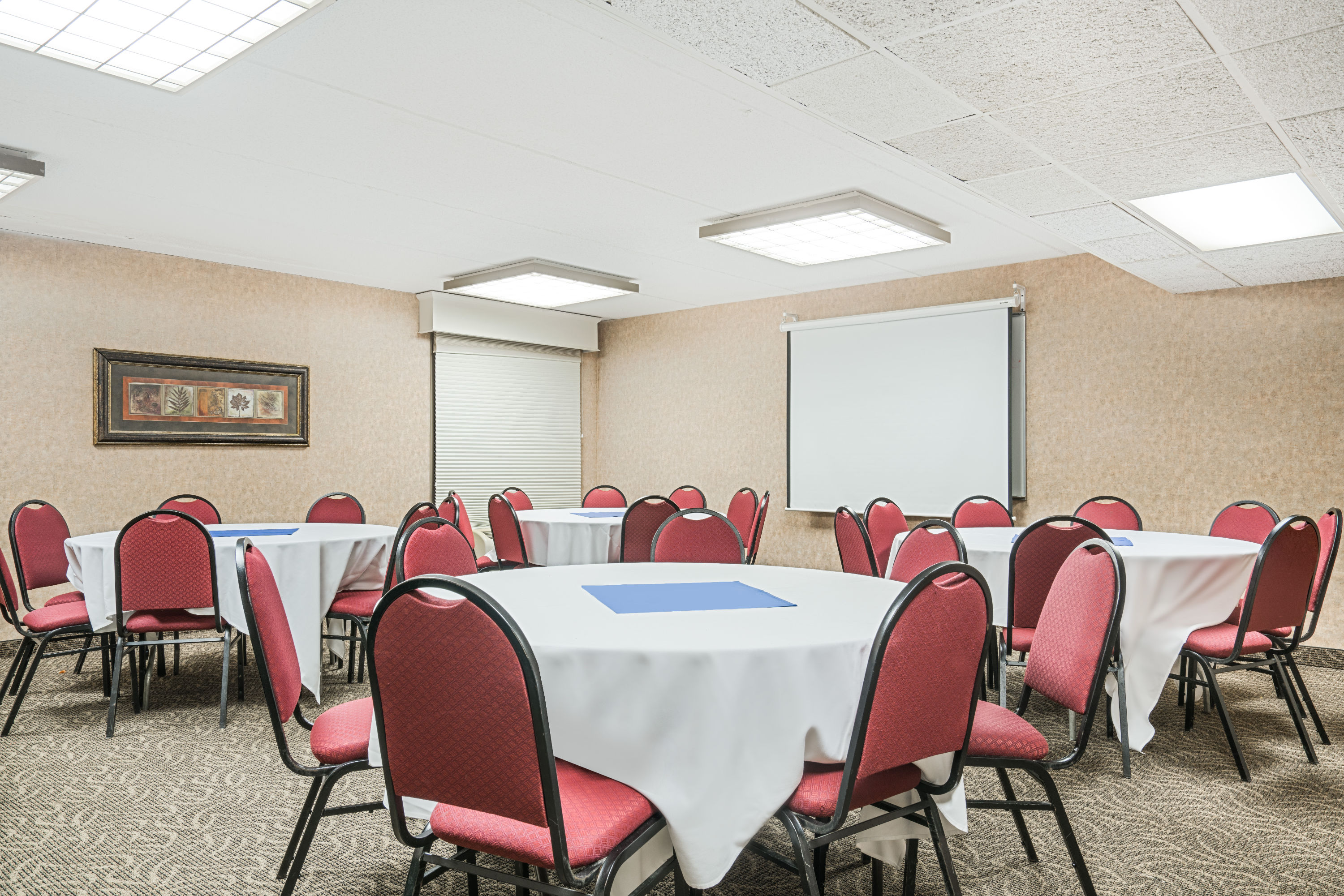 Meeting room at Ramada by Wyndham Plymouth Hotel & Conference Center in Plymouth, Minnesota