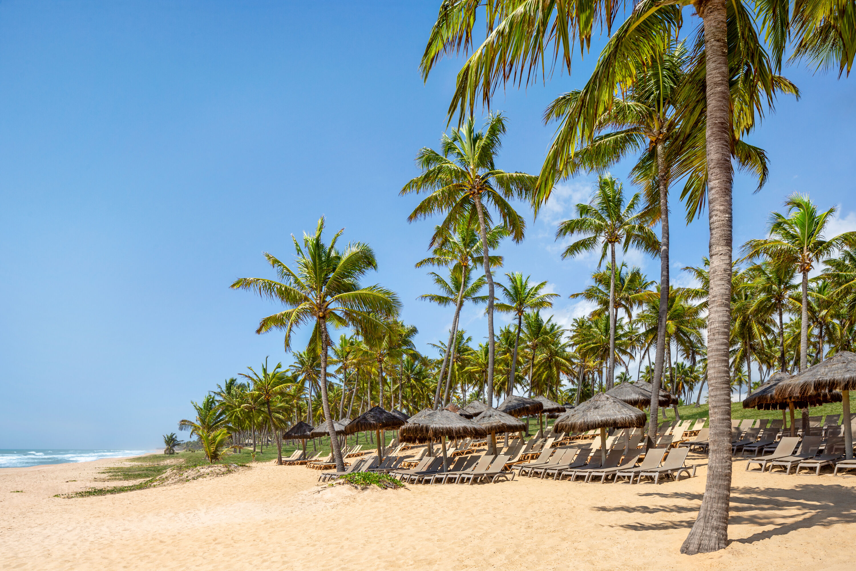 Beach near Grand Palladium Imbassai, All Inclusive Resort & Spa in Imbassai, Other than US/Canada