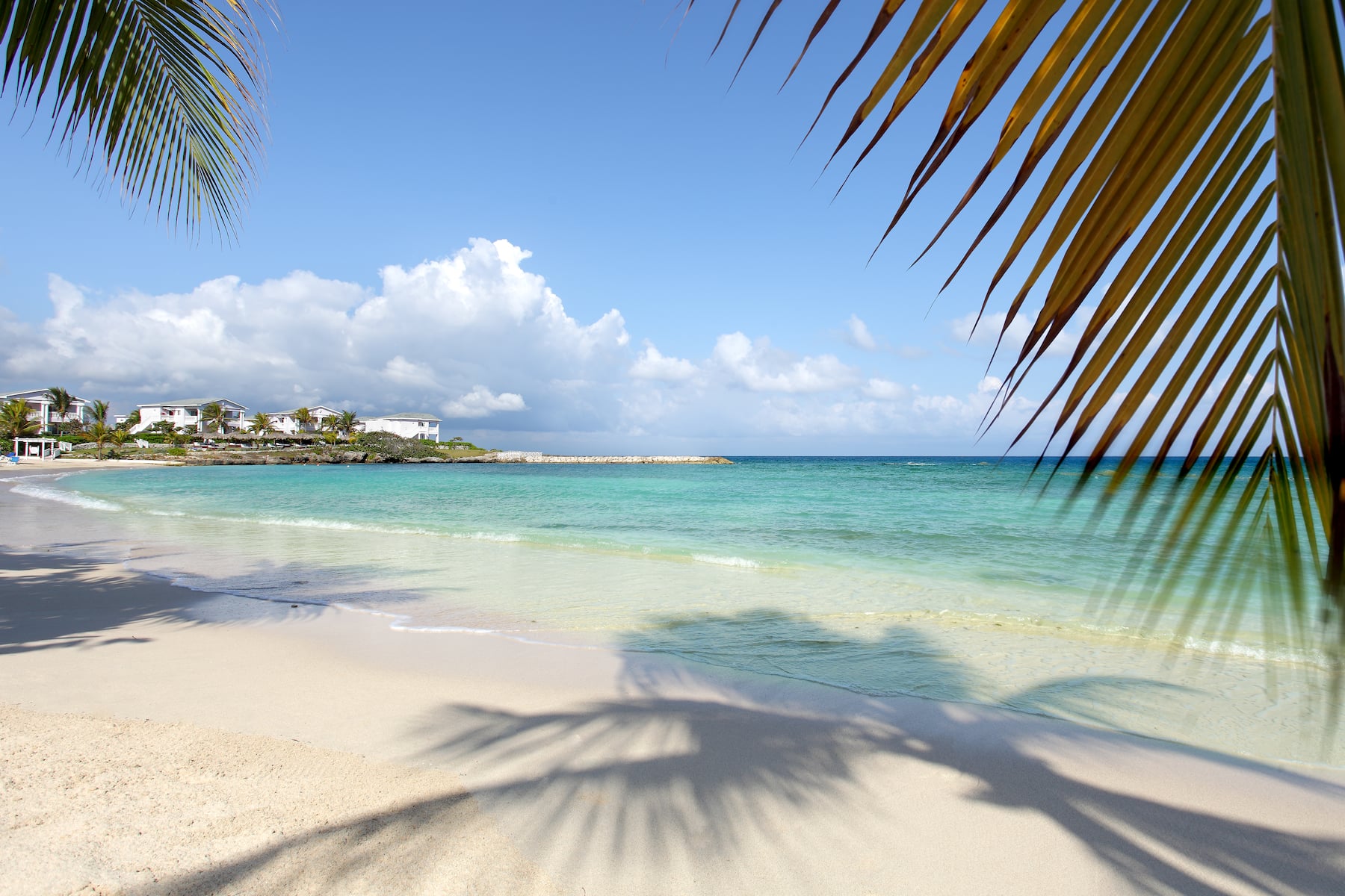Beach near Grand Palladium Jamaica, All Inclusive Resort & Spa in Montego Bay, Other than US/Canada
