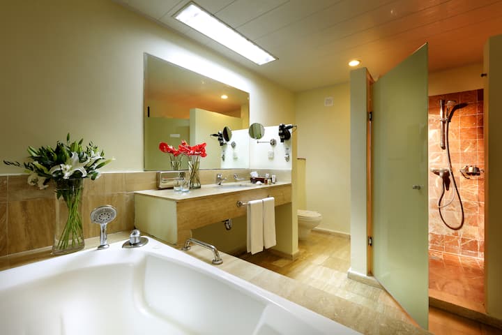 Grand Palladium Lady Hamilton, All Inclusive Resort & Spa suite in Montego Bay, Other than US/Canada