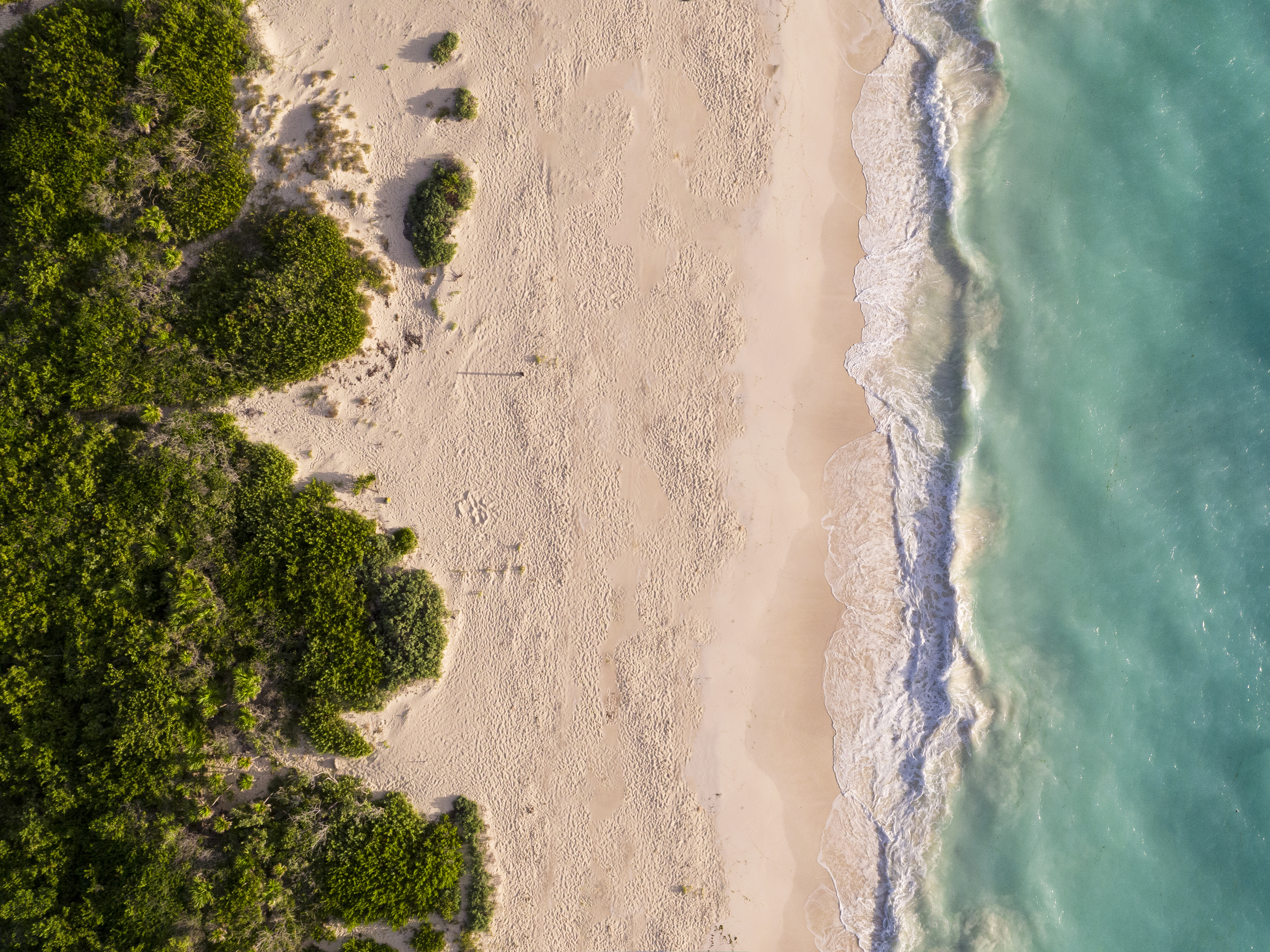 Beach near TRS Coral Costa Mujeres, a Registry Collection Hotel in Cancun, Other than US/Canada