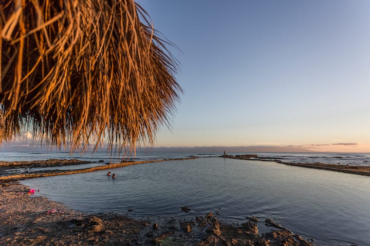 Beach near Grand Palladium Vallarta, All Inclusive Resort & Spa in Punta Mita, Other than US/Canada