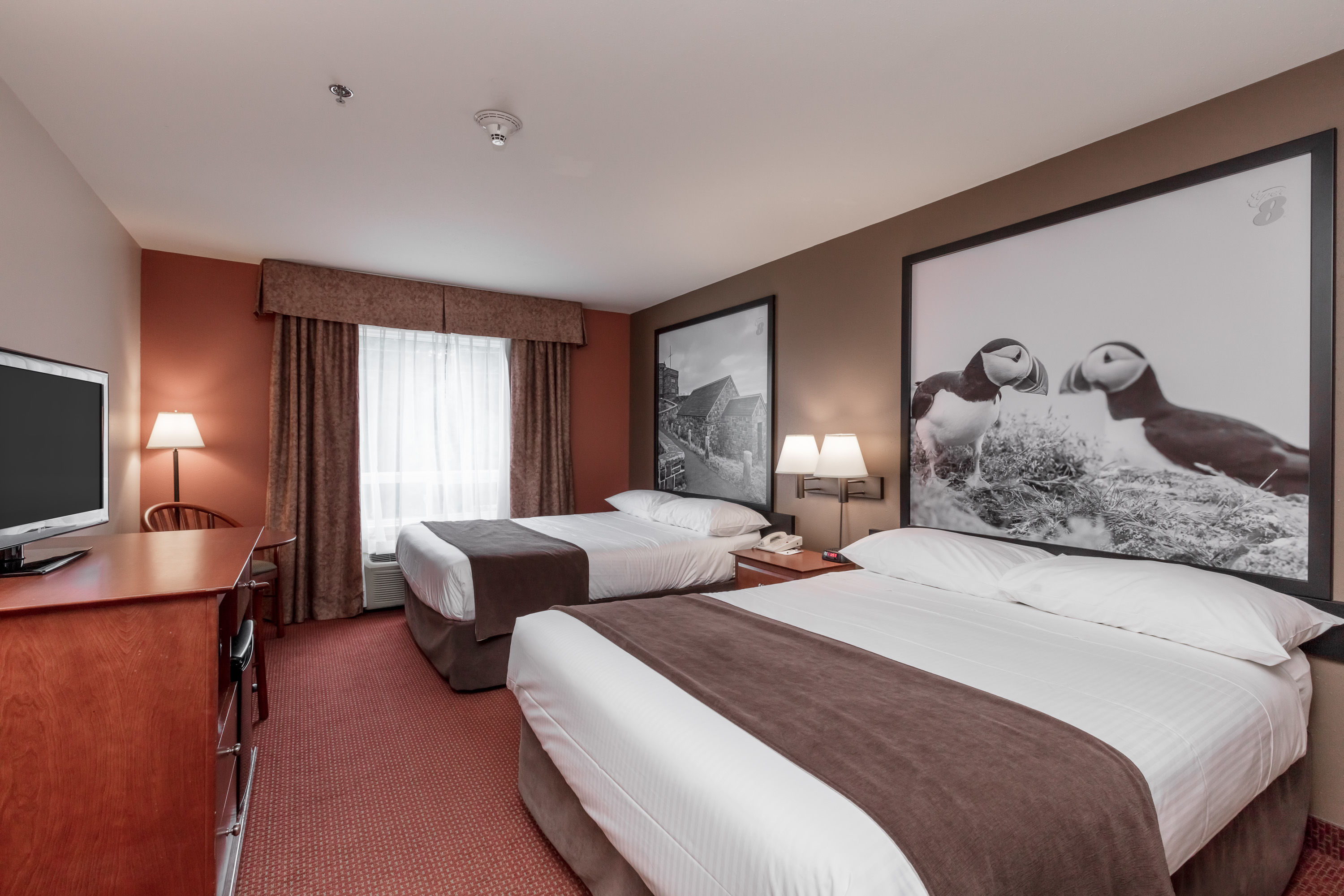 Guest room at the Super 8 by Wyndham St Johns in St. Johns, Newfoundland