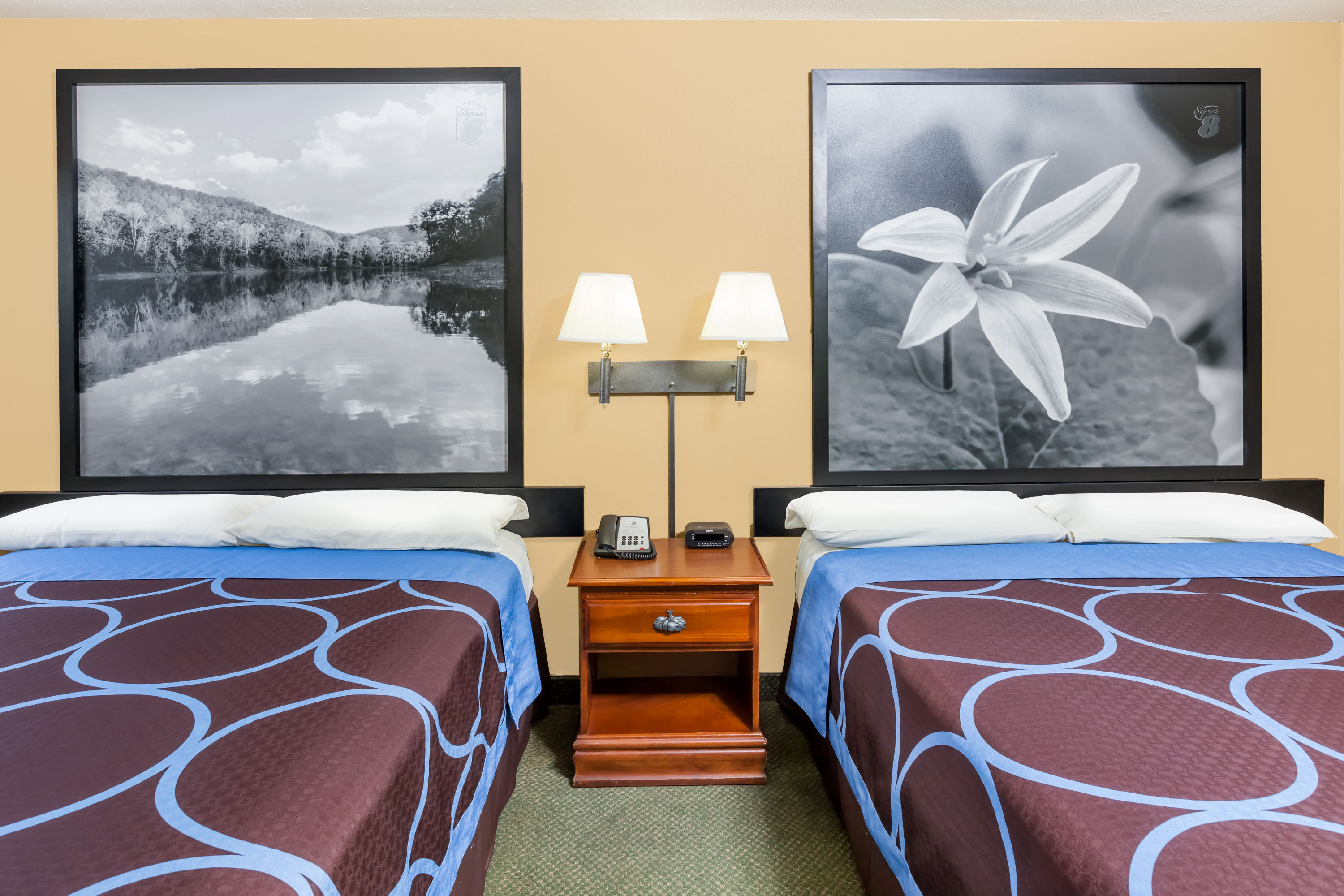 Guest room at the Super 8 by Wyndham Pine Bluff in Pine Bluff, Arkansas