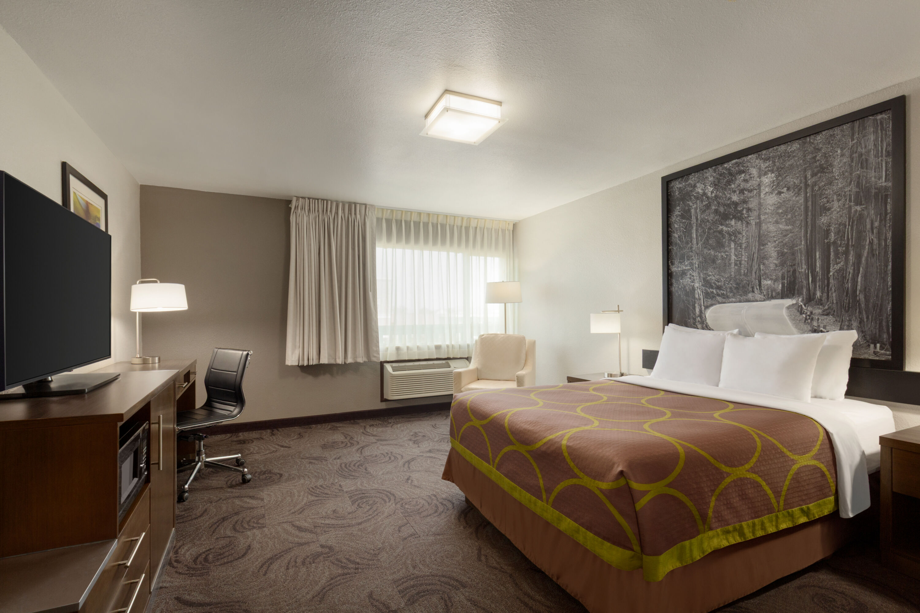 Guest room at the Super 8 by Wyndham Eureka in Eureka, California