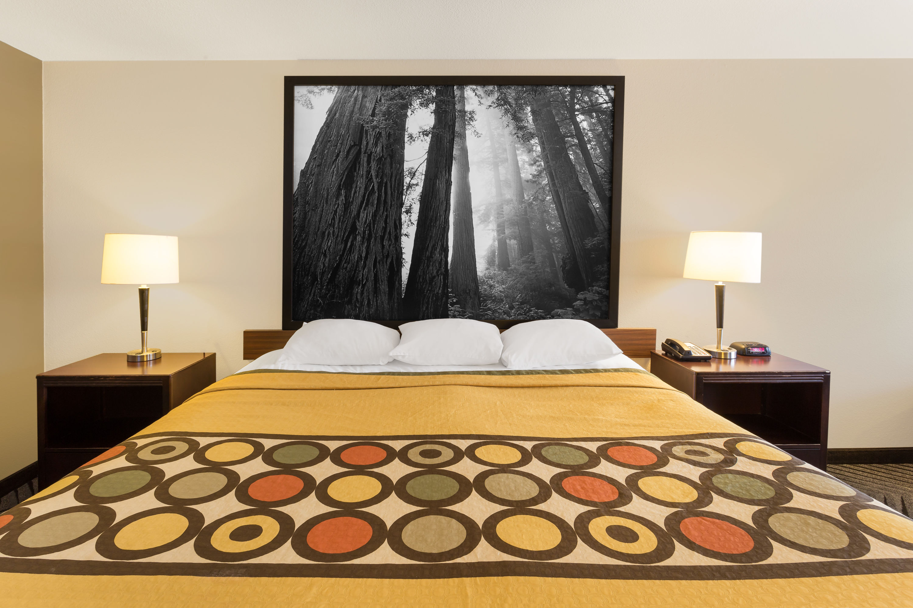 Guest room at the Super 8 by Wyndham Fortuna in Fortuna, California