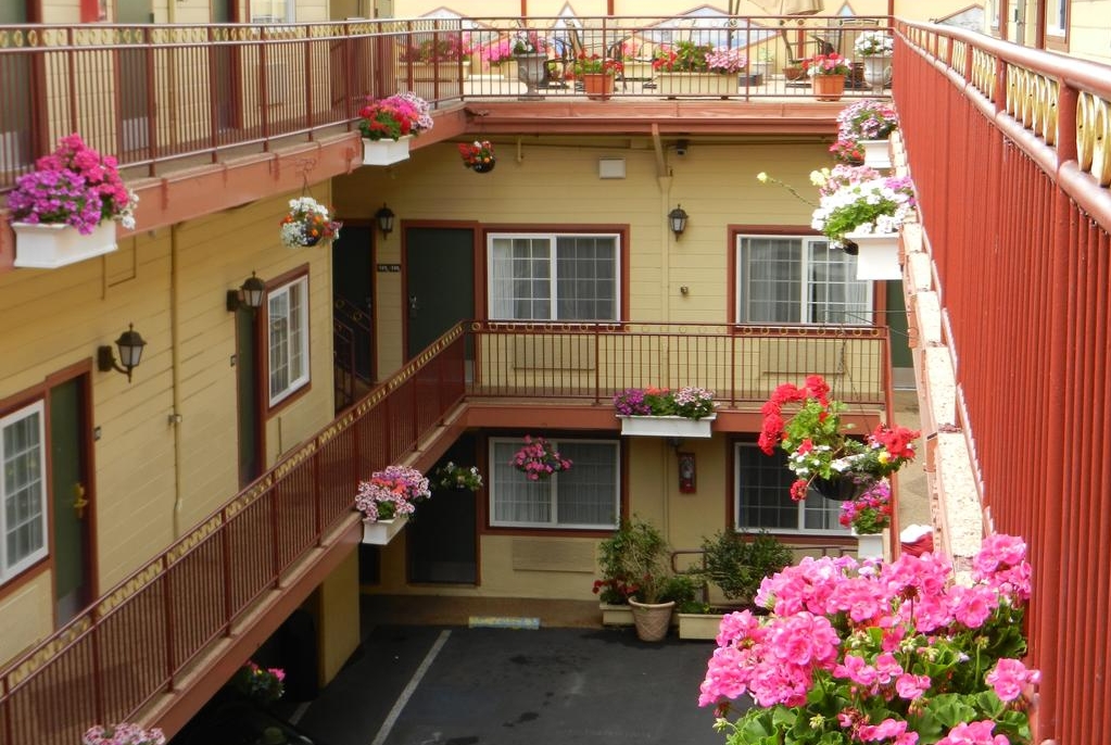 Super 8 By Wyndham San Francisco Near The Marina San