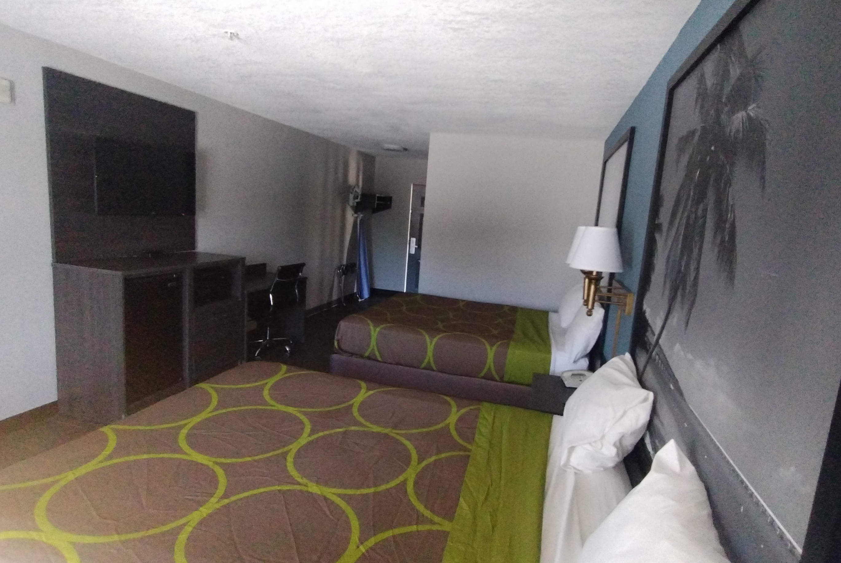 Guest room at the Super 8 by Wyndham Dania/Fort Lauderdale Arpt in Dania, Florida