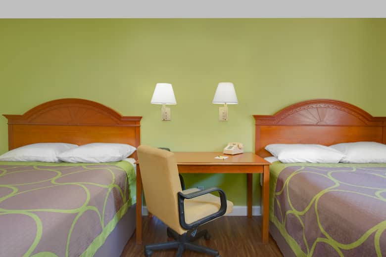 Guest room at the Super 8 Gainesville in Gainesville, Florida