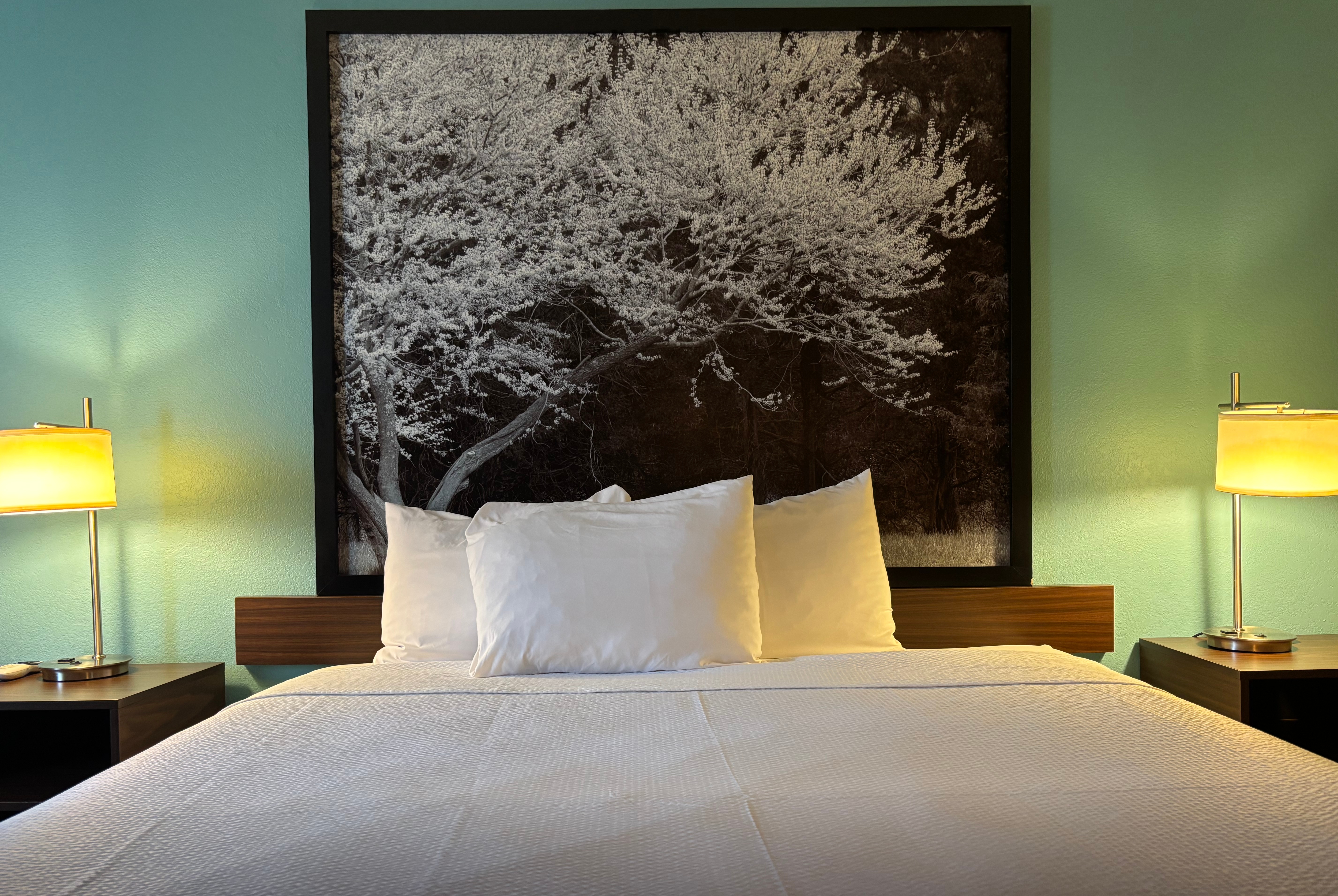 Guest room at the Super 8 by Wyndham Carbondale in Carbondale, Illinois