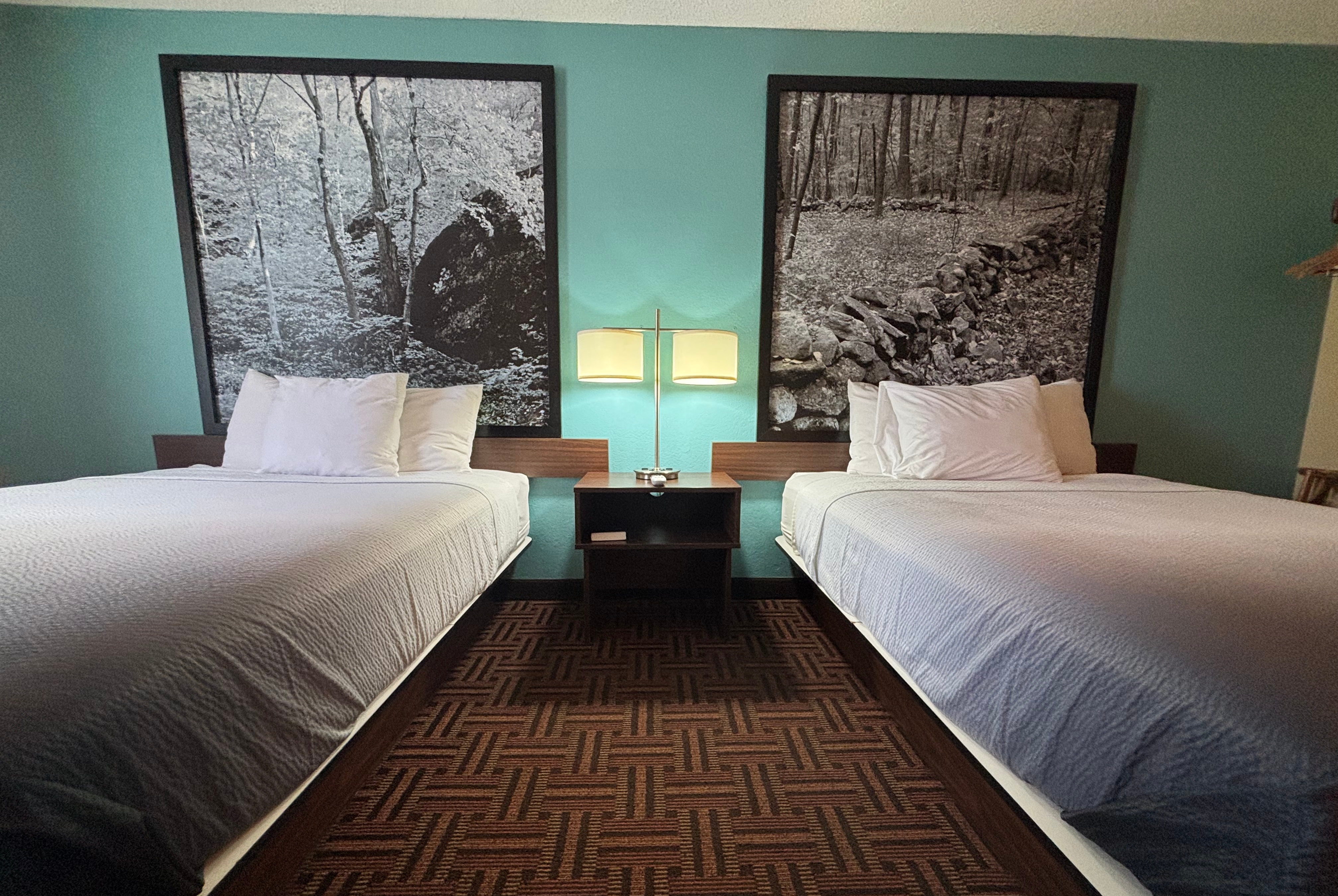 Guest room at the Super 8 by Wyndham Carbondale in Carbondale, Illinois