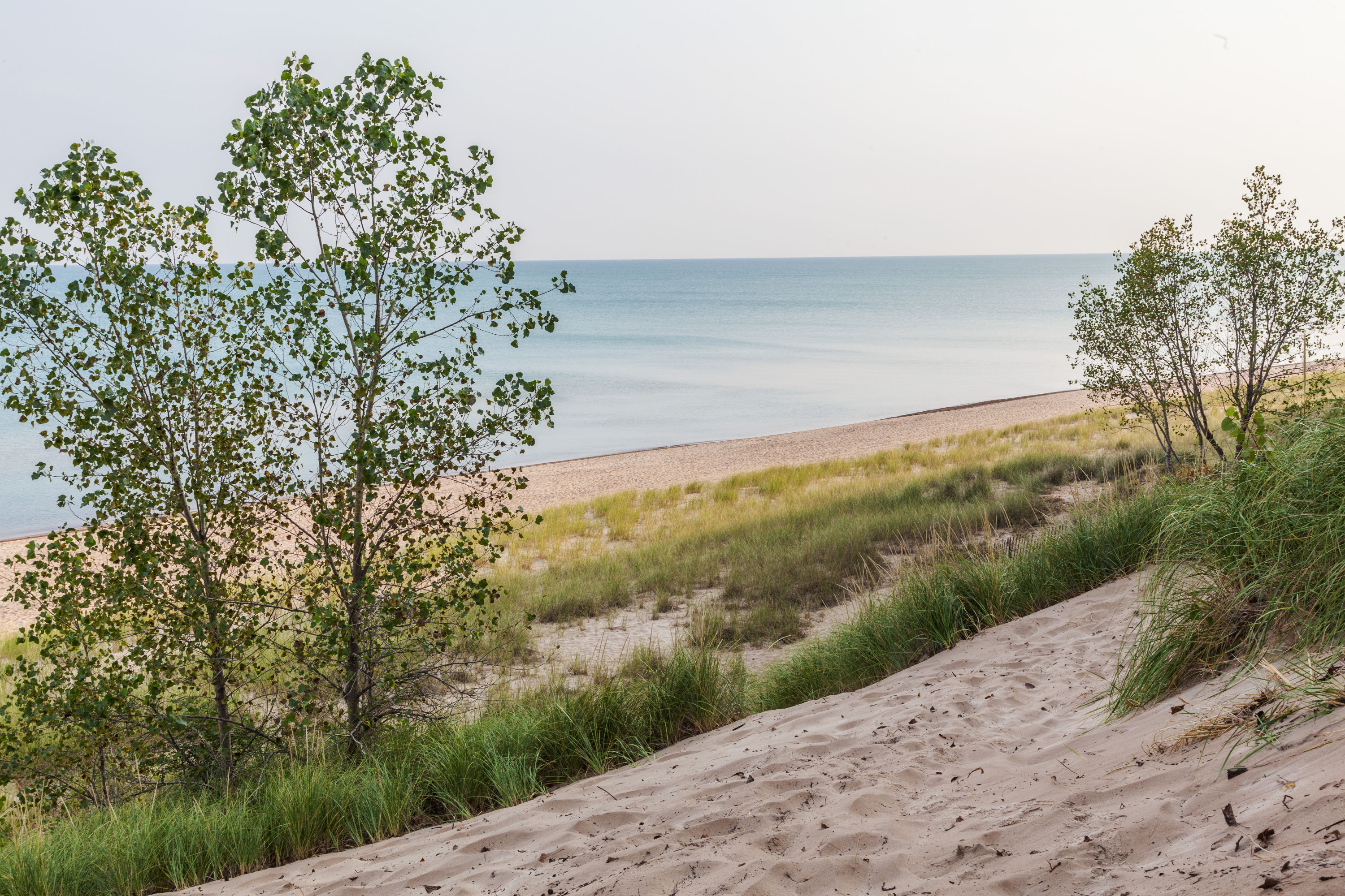 Beach near Super 8 by Wyndham Valparaiso in Valparaiso, Indiana