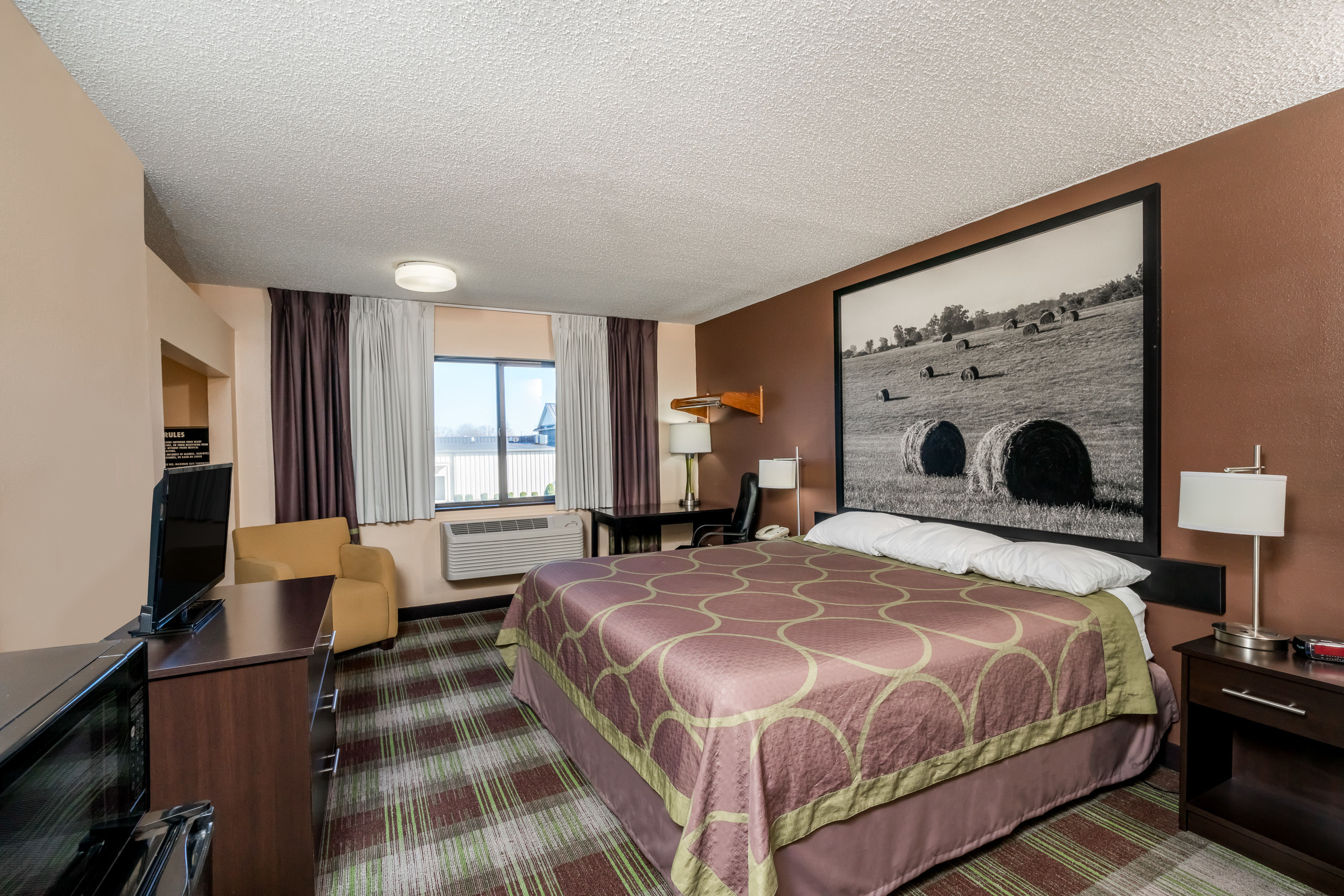 Guest room at the Super 8 by Wyndham Campbellsville KY in Campbellsville, Kentucky