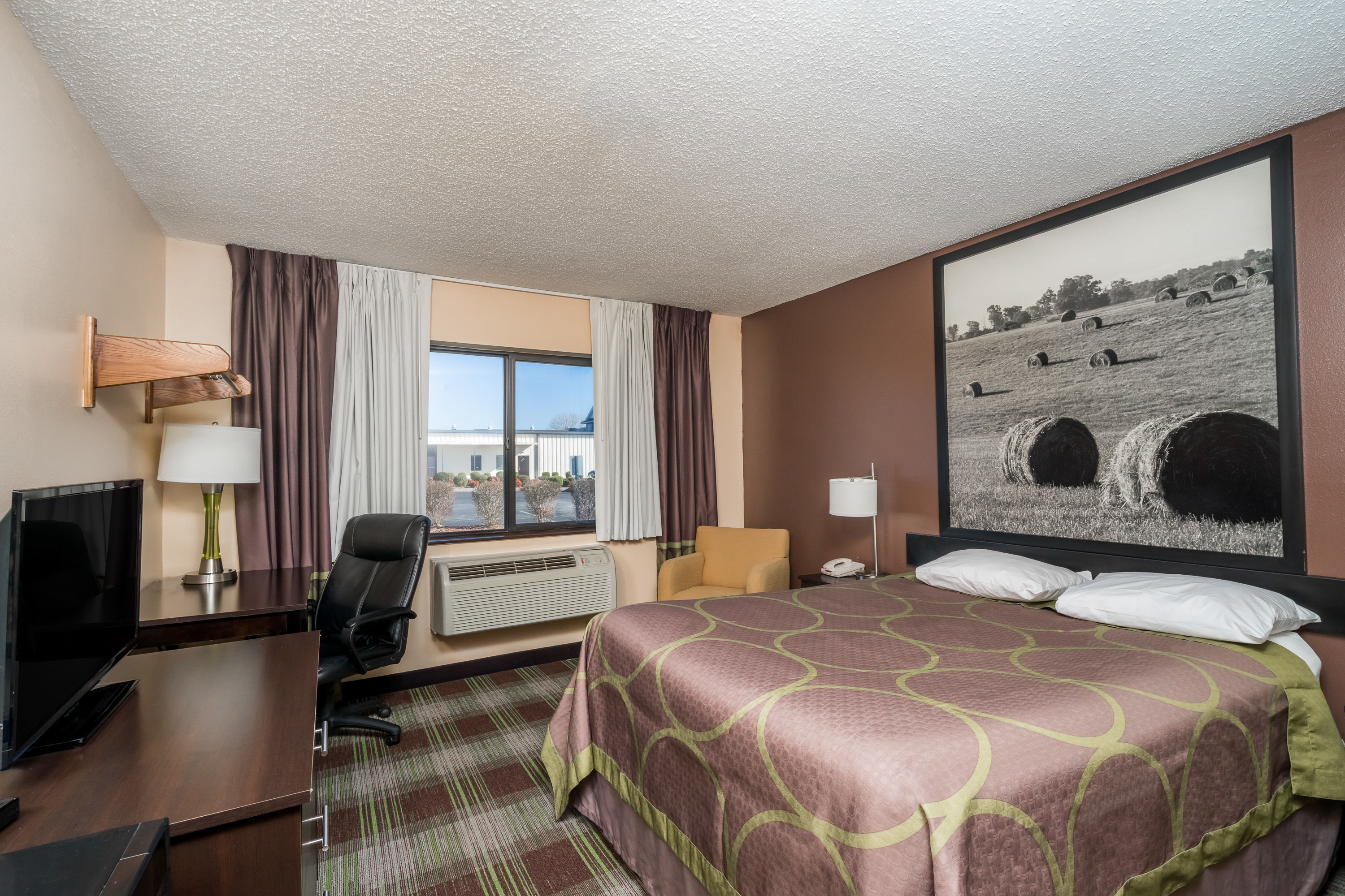 Guest room at the Super 8 by Wyndham Campbellsville KY in Campbellsville, Kentucky