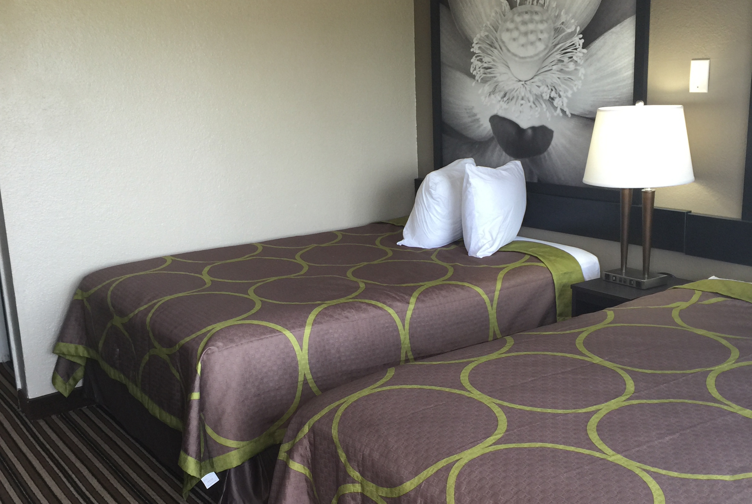 Super 8 By Wyndham Florence Florence Ky Hotels