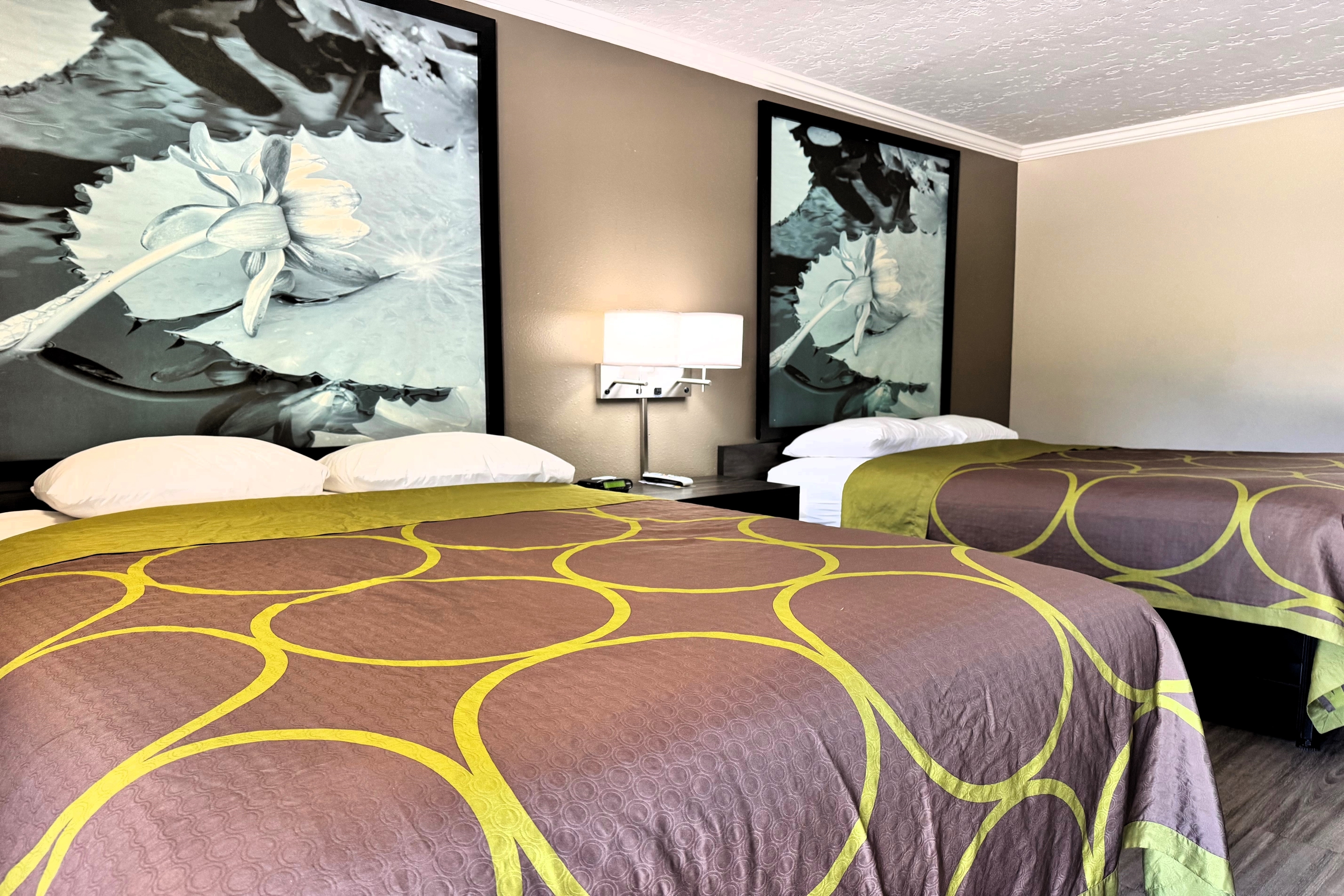 Guest room at the Super 8 by Wyndham Picayune in Picayune, Mississippi