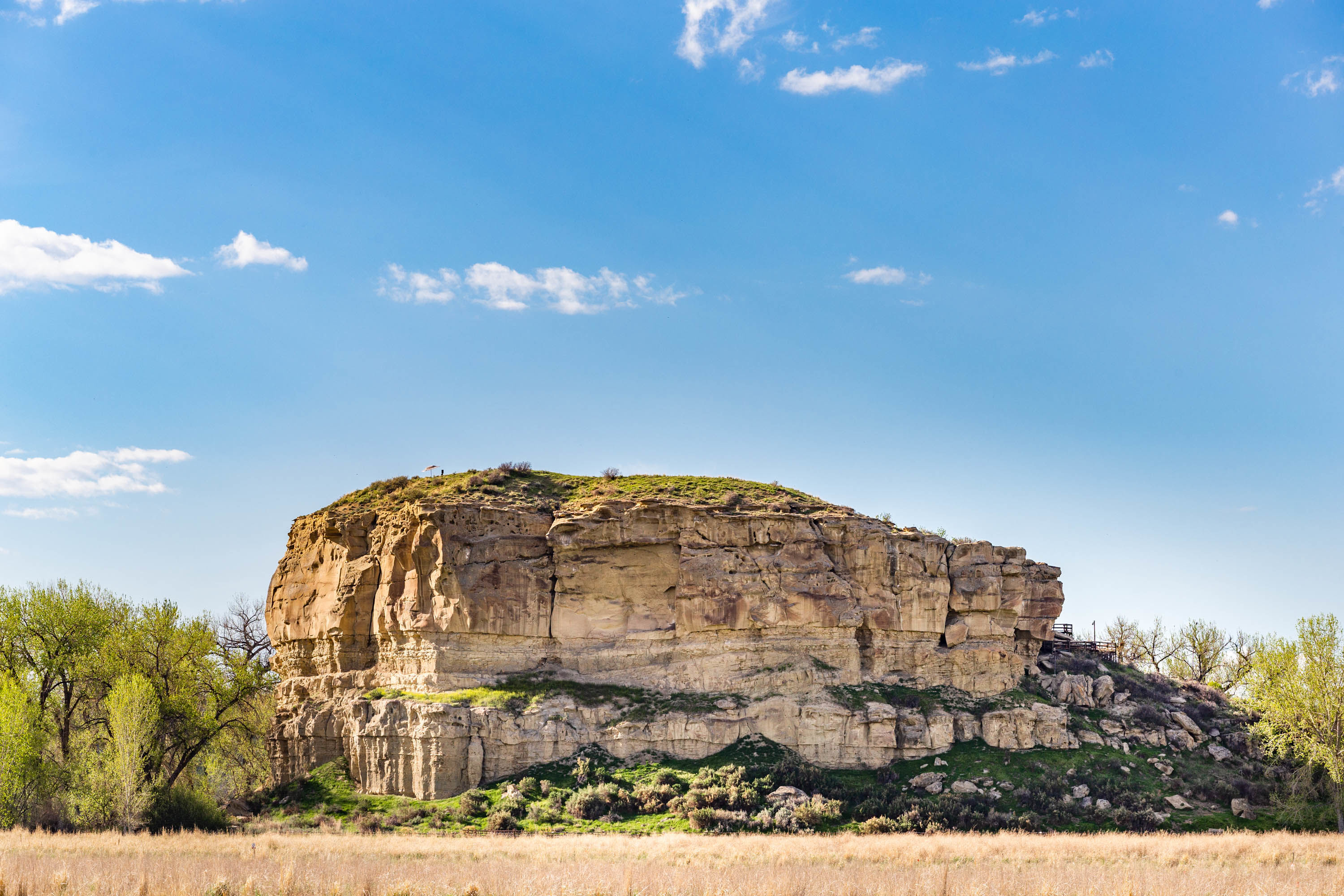 Local attraction at Super 8 by Wyndham Billings in Billings, Montana