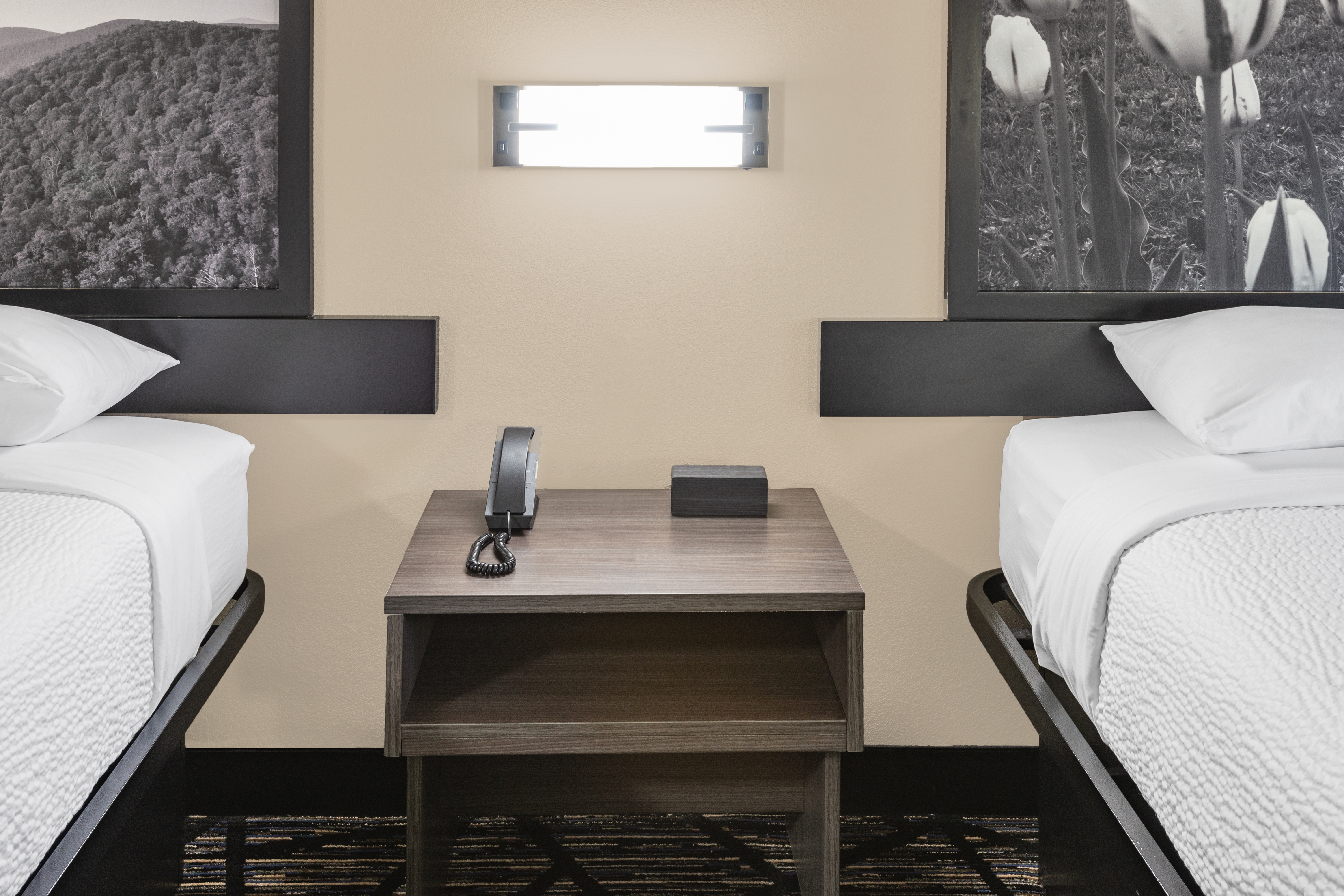 Guest room at the Super 8 by Wyndham Charlottesville in Charlottesville, Virginia