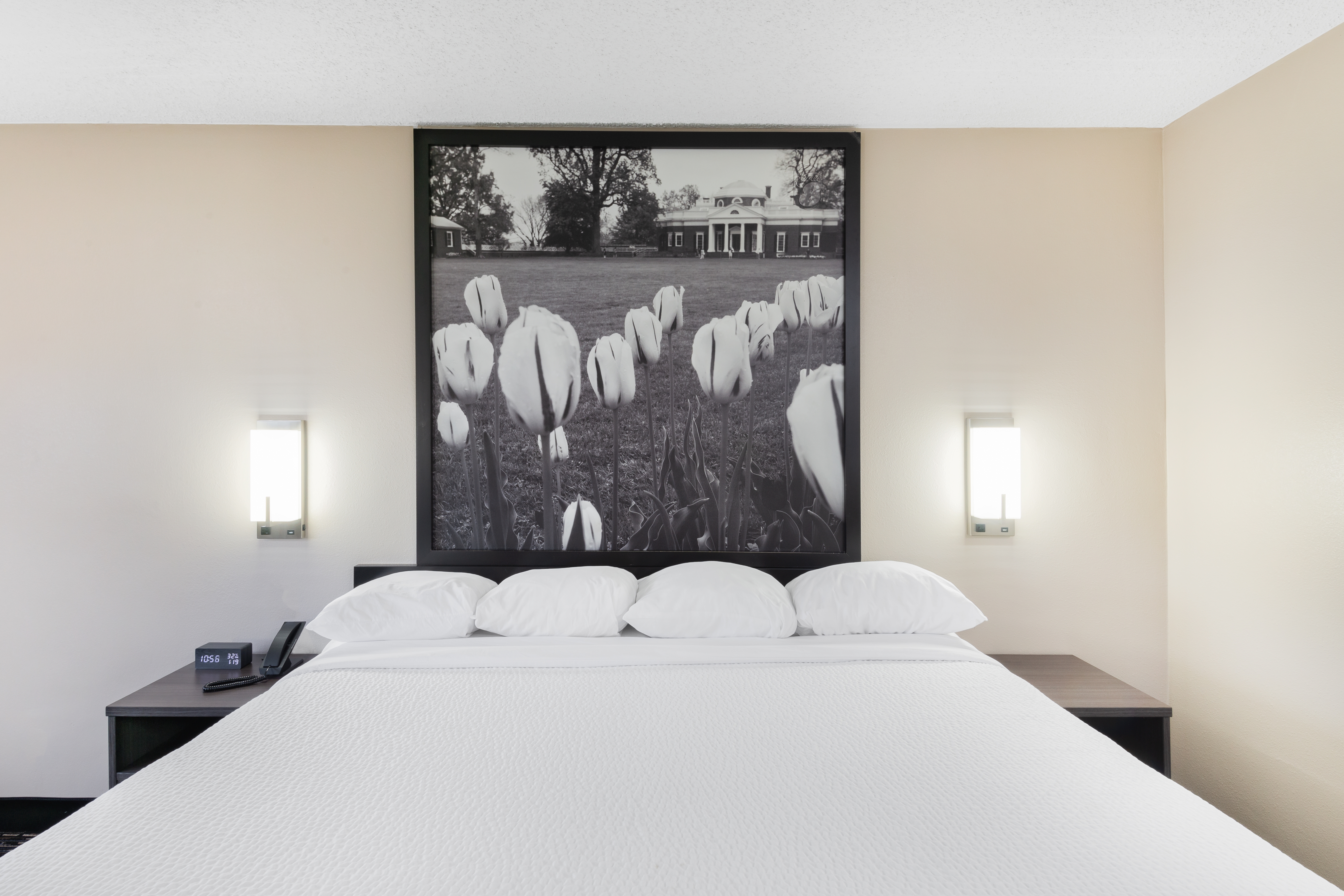 Guest room at the Super 8 by Wyndham Charlottesville in Charlottesville, Virginia