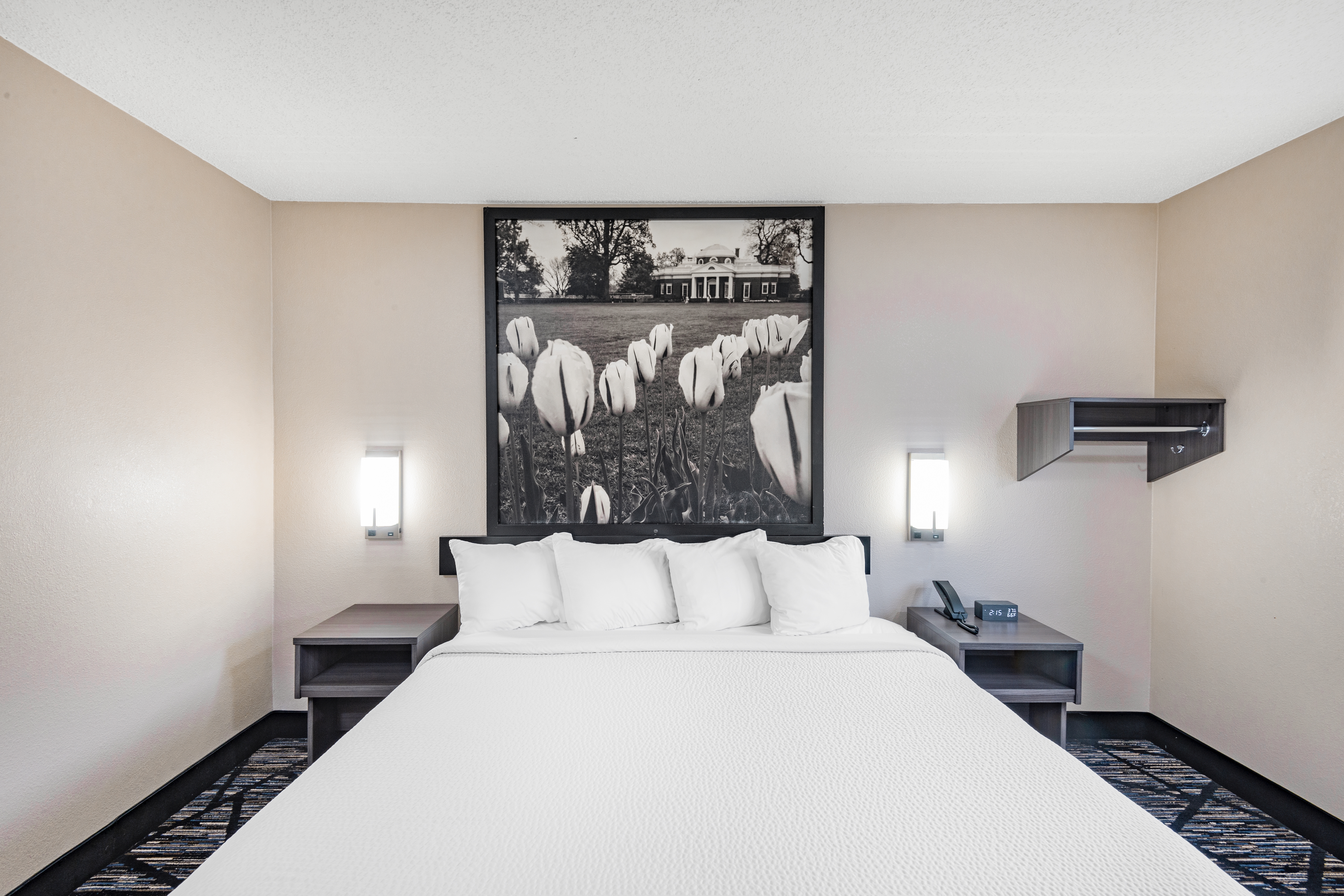 Guest room at the Super 8 by Wyndham Charlottesville in Charlottesville, Virginia