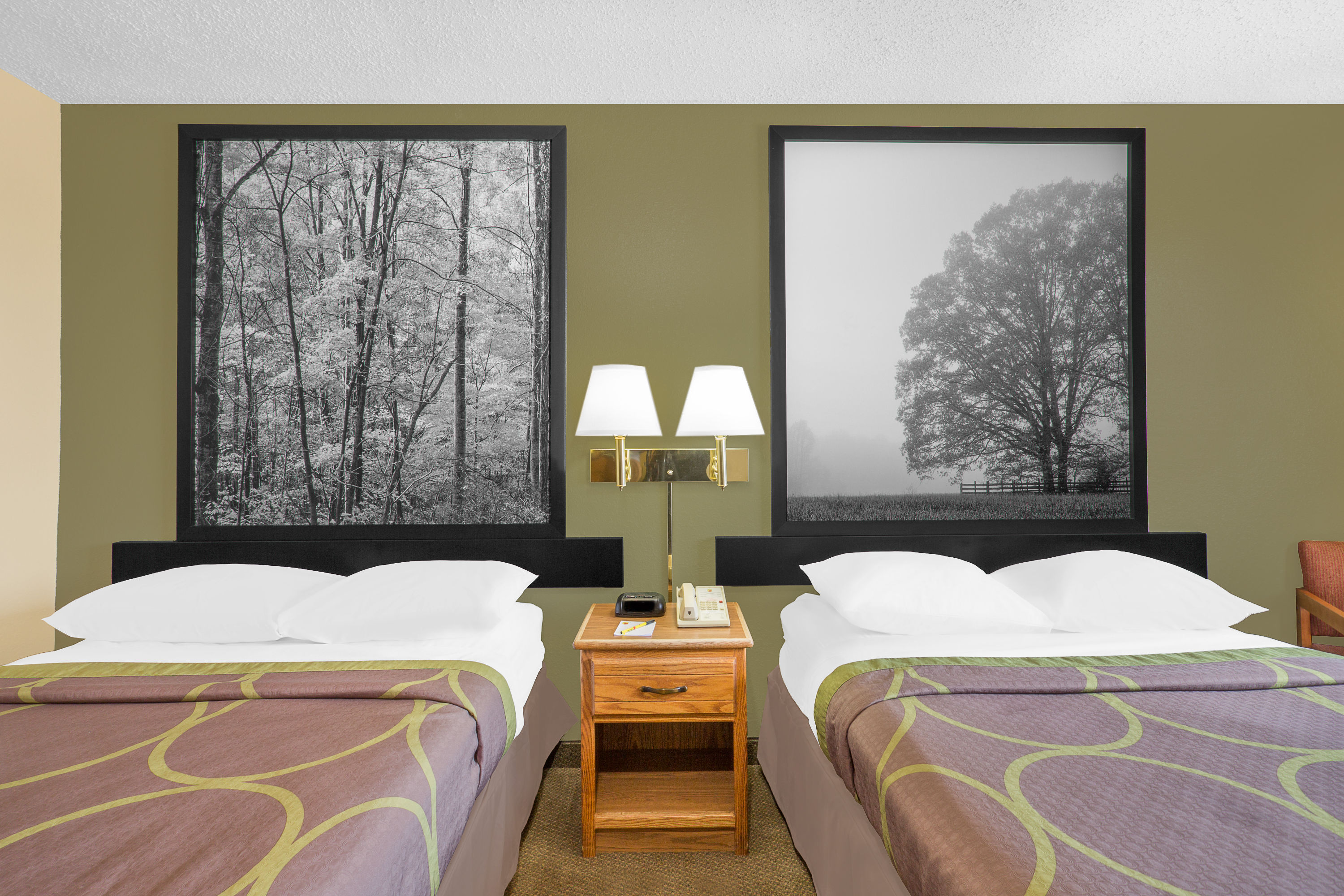 Super 8 By Wyndham Roanoke Va Roanoke Va Hotels