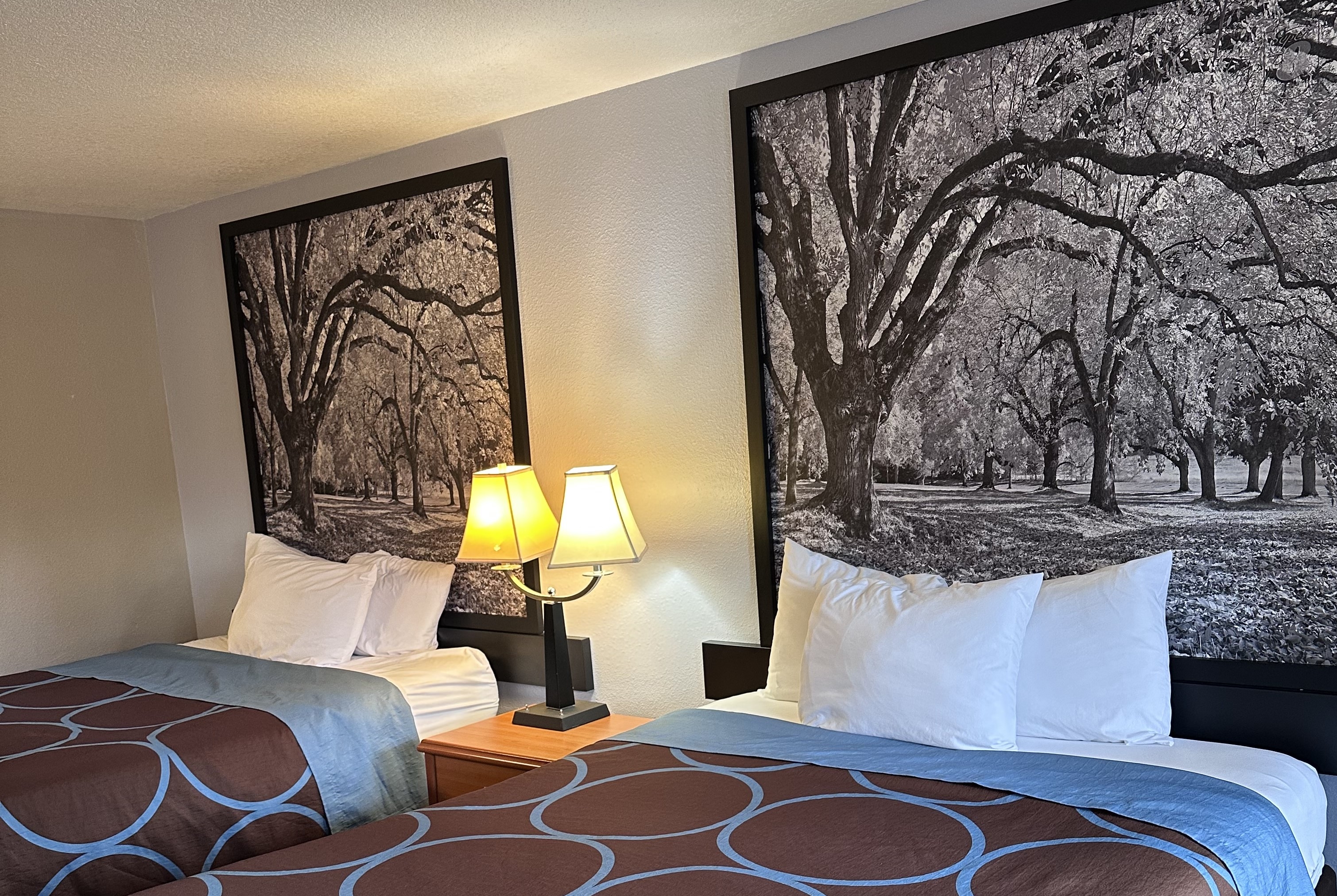 Guest room at the Super 8 by Wyndham Vancouver East in Vancouver, Washington