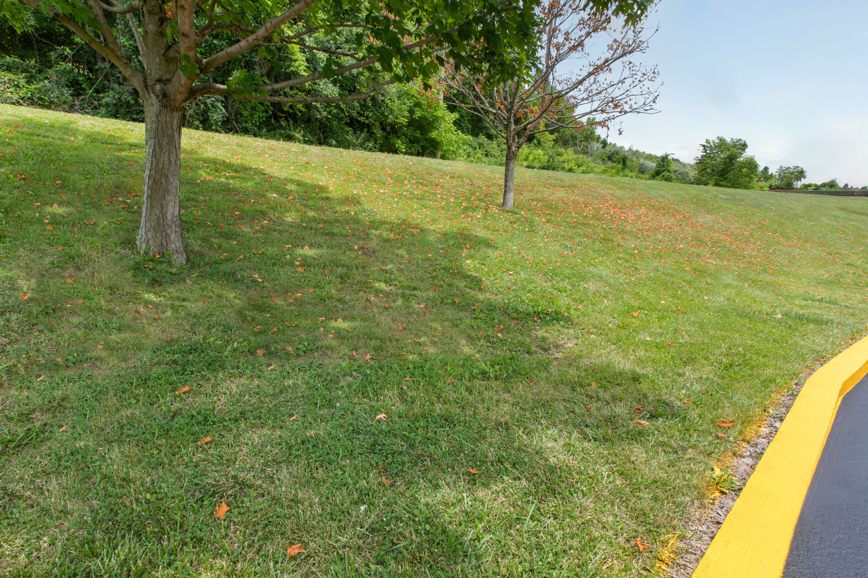 Property amenity at Super 8 by Wyndham Bridgeport/Clarksburg Area in Bridgeport, West Virginia