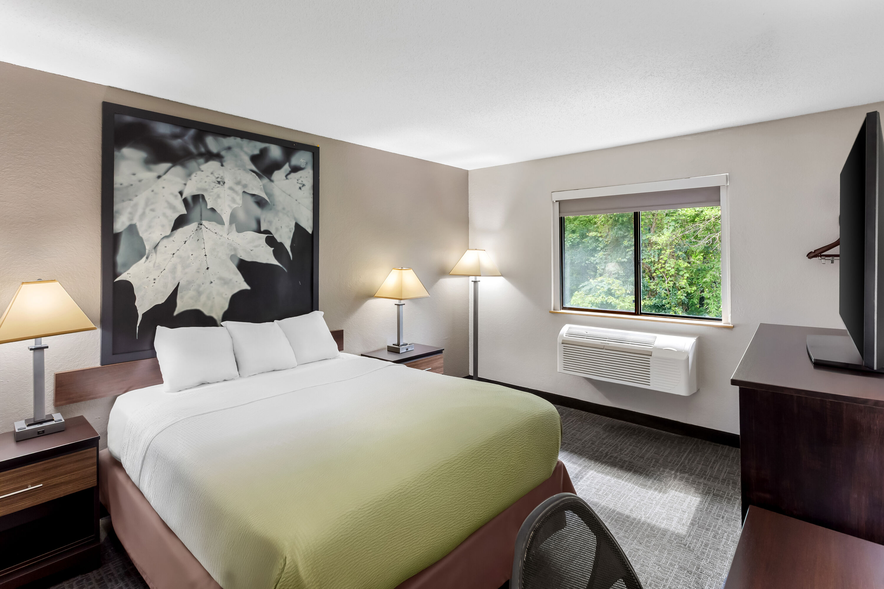 Queen bed guest room at the Super 8 by Wyndham Elkins in Elkins, West Virginia